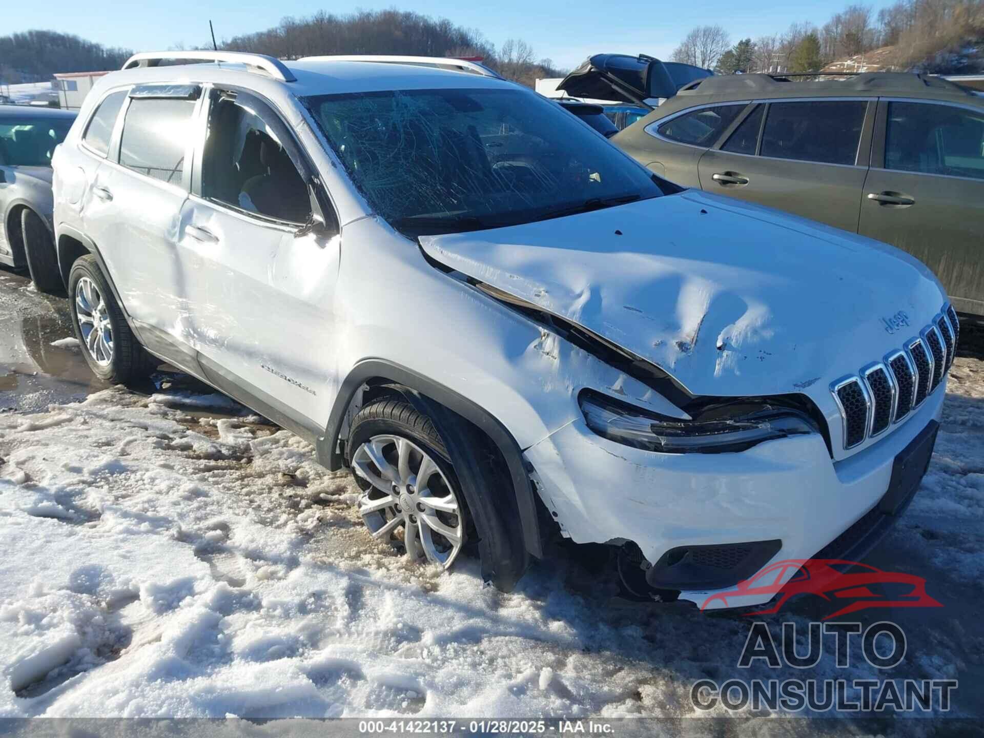 JEEP CHEROKEE 2019 - 1C4PJLCB3KD290577