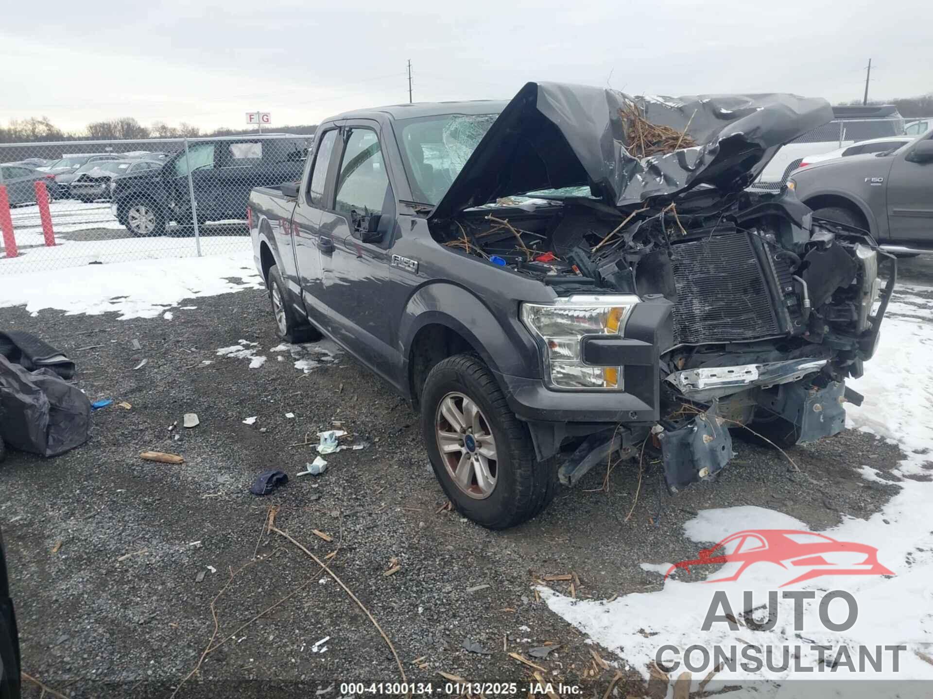 FORD F-150 2016 - 1FTEX1C81GFB09051