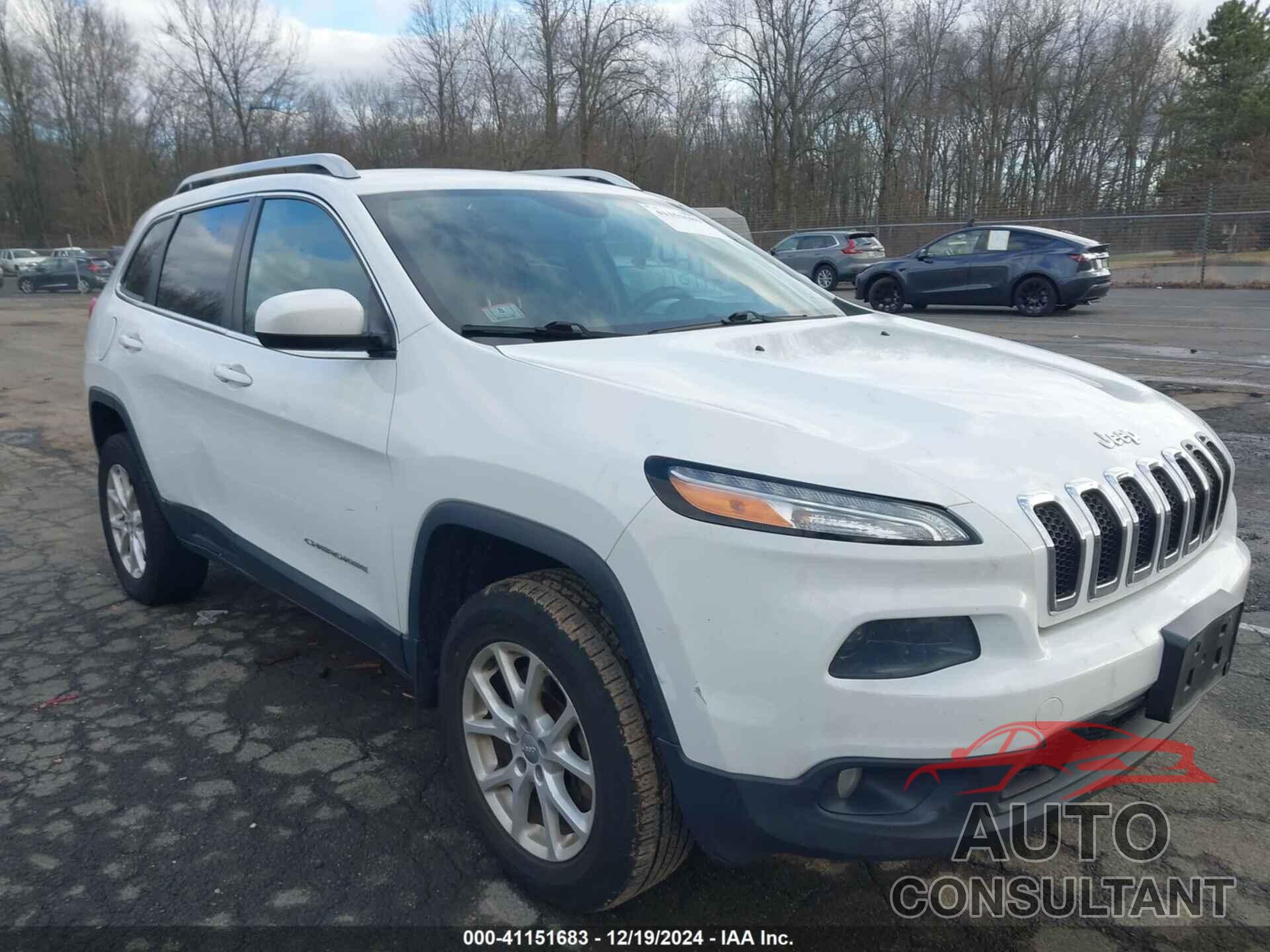 JEEP CHEROKEE 2014 - 1C4PJMCS0EW190208