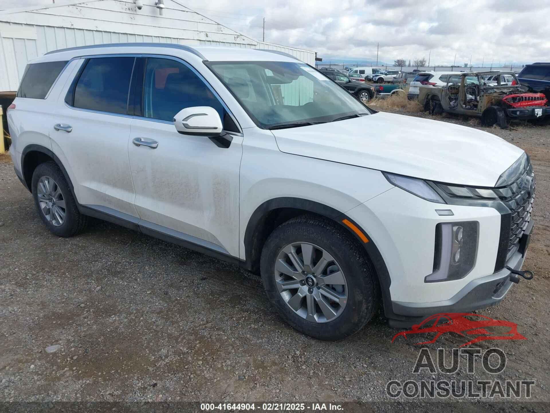 HYUNDAI PALISADE 2025 - KM8R2DGE3SU861481