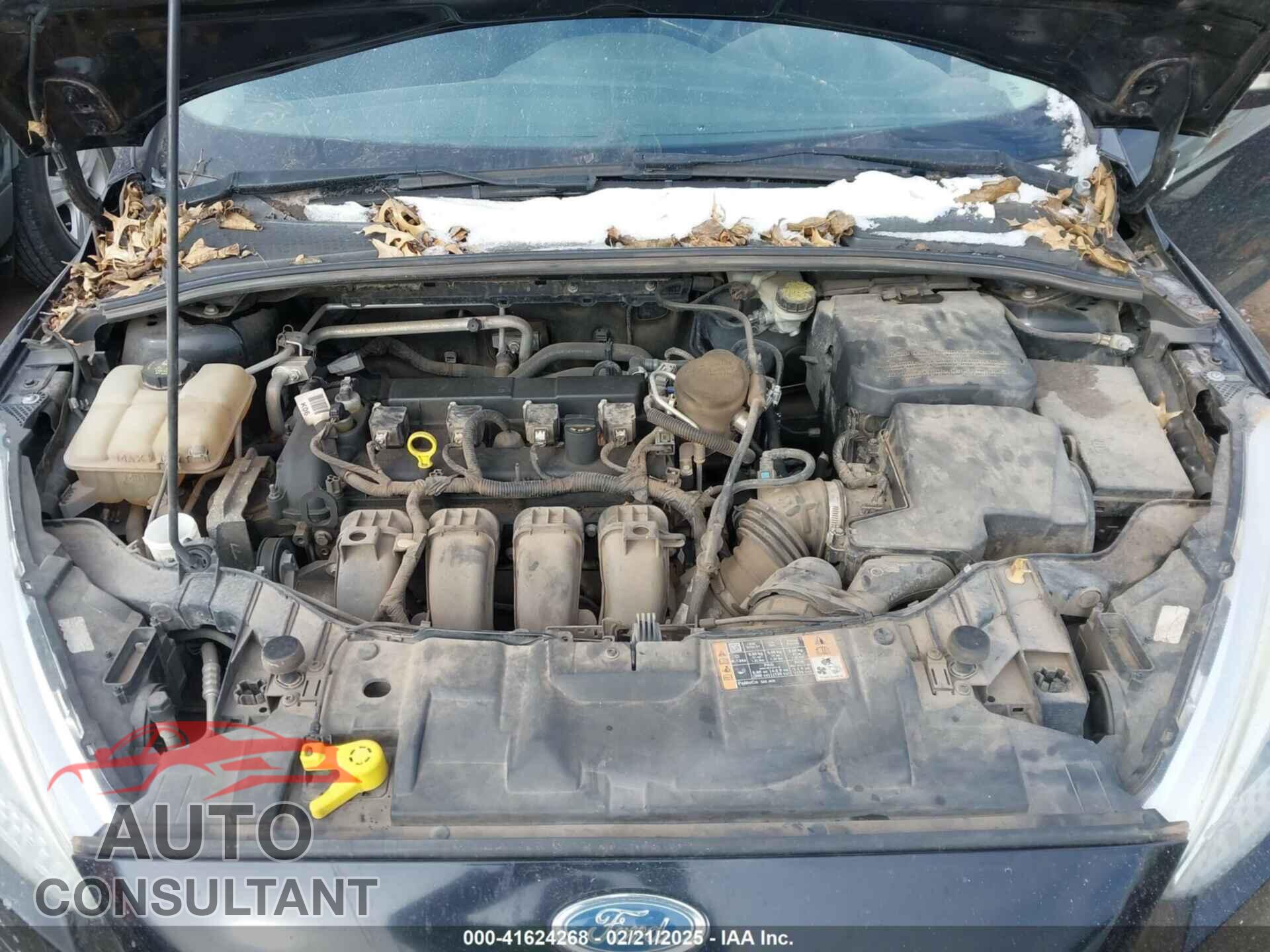 FORD FOCUS 2016 - 1FADP3F21GL235559