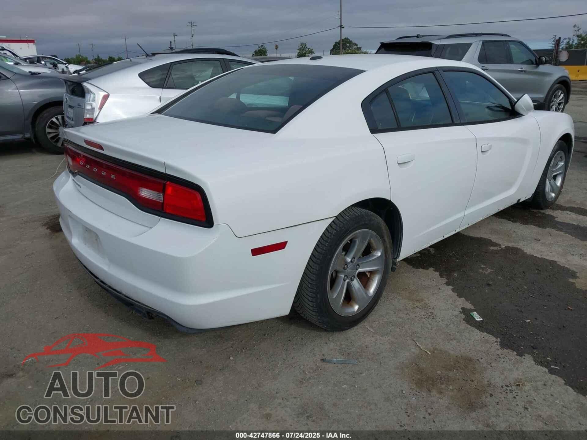 DODGE CHARGER 2011 - 2B3CL3CG9BH511589