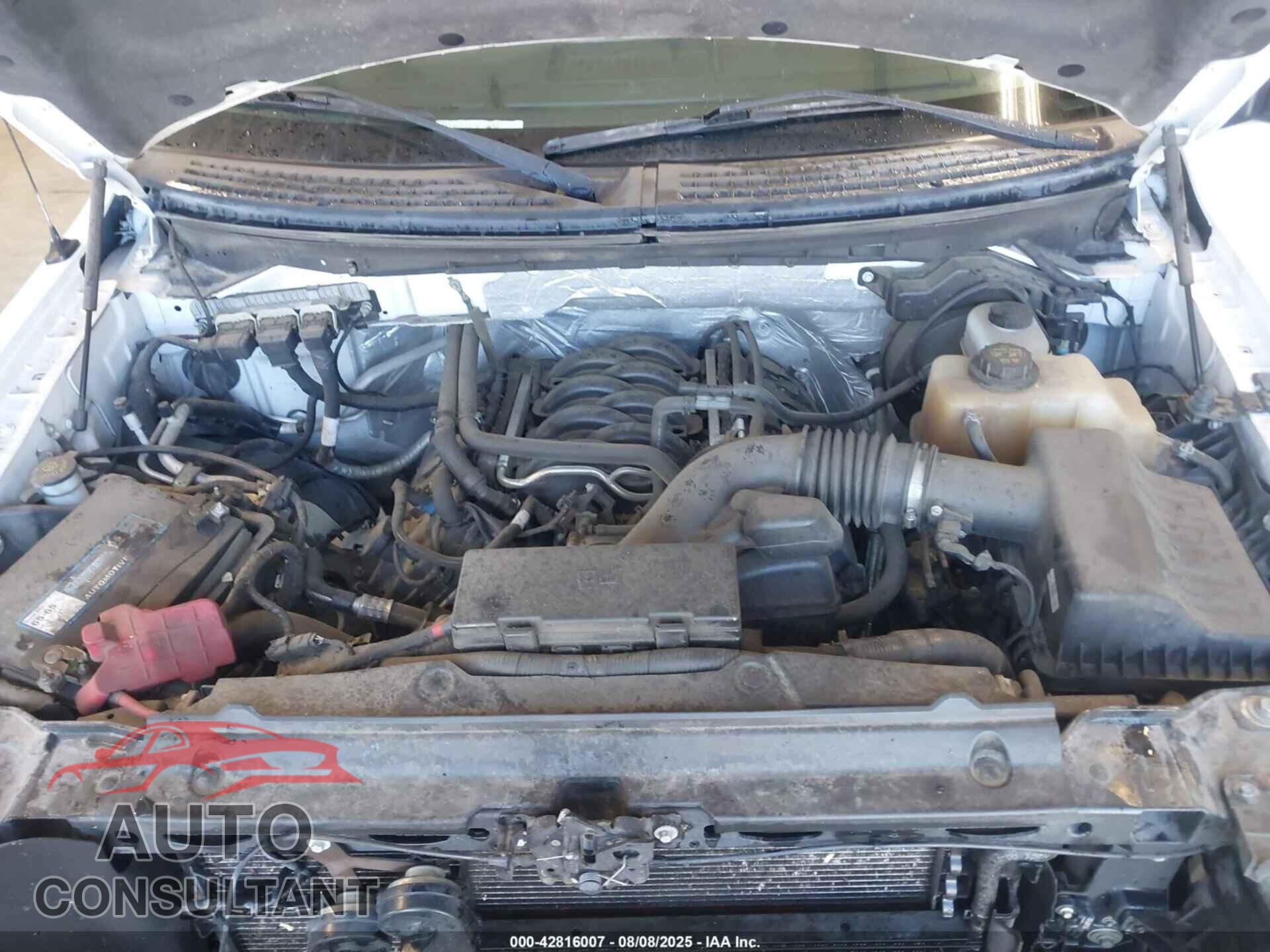 FORD F-150 2013 - 1FTFX1EF6DFB23748