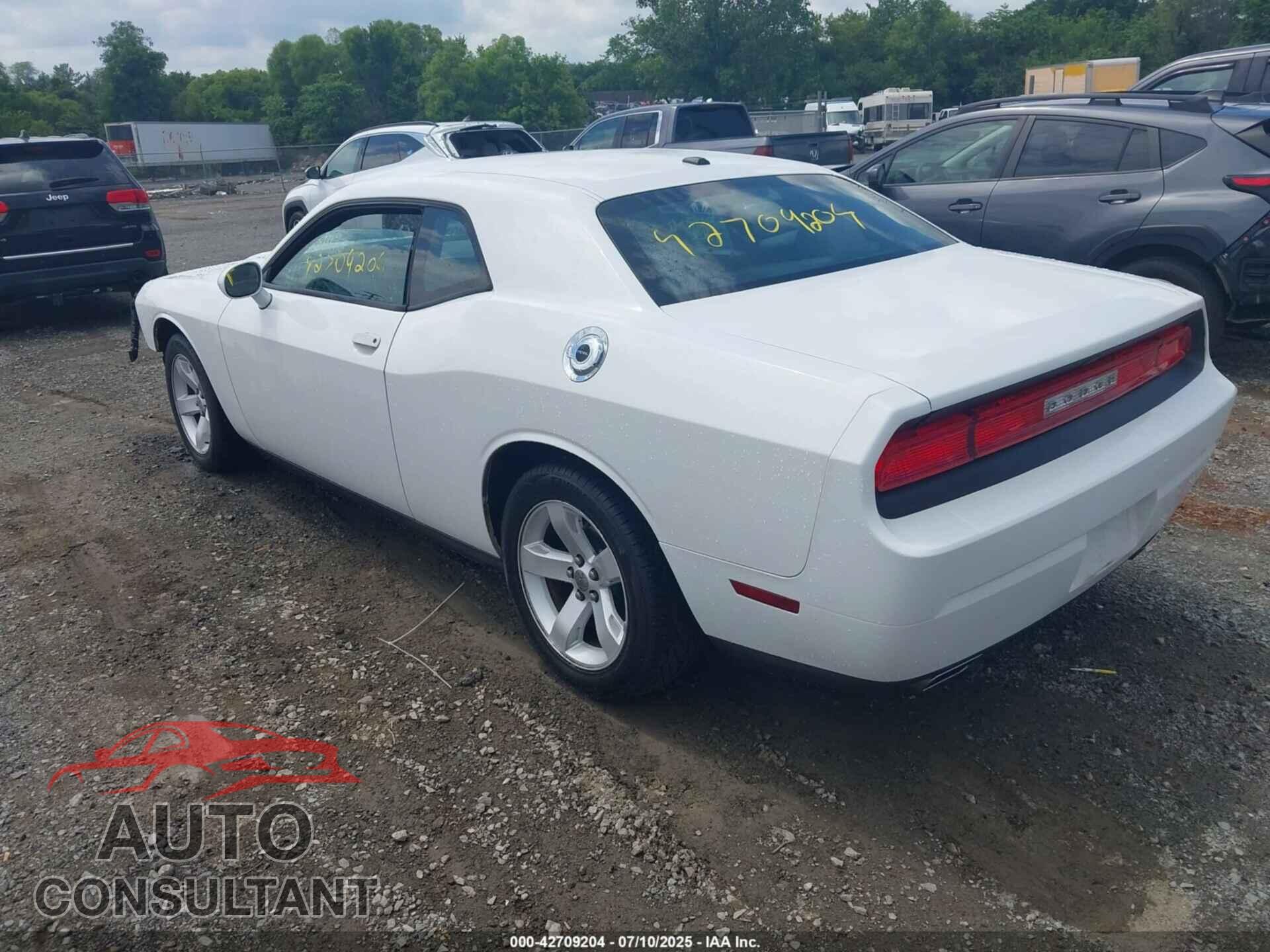 DODGE CHALLENGER 2012 - 2C3CDYAG0CH294001
