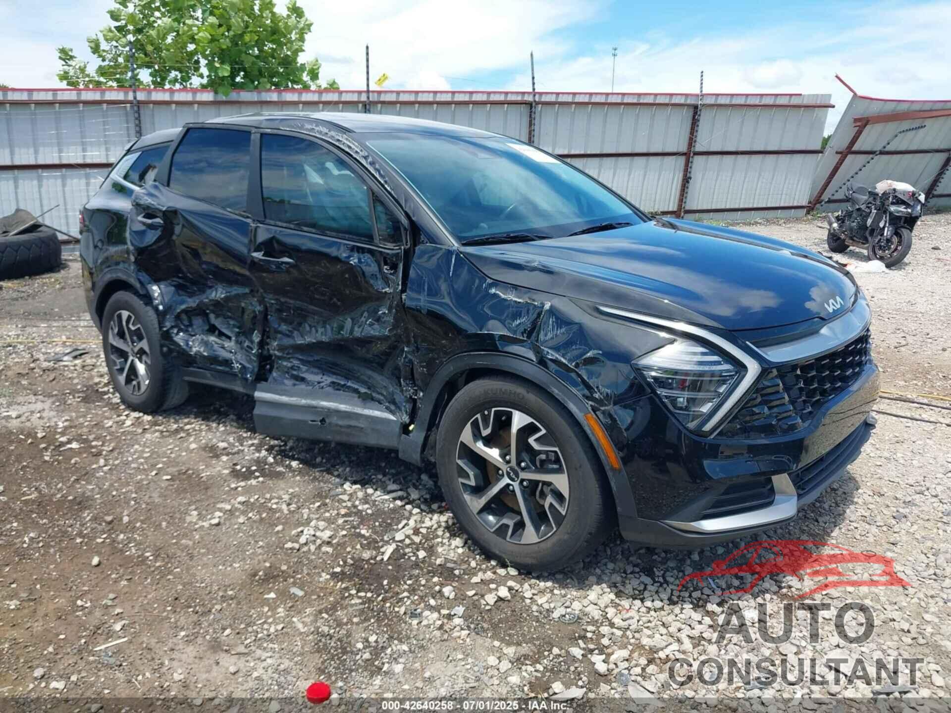 KIA SPORTAGE 2024 - 5XYK33DF3RG181599