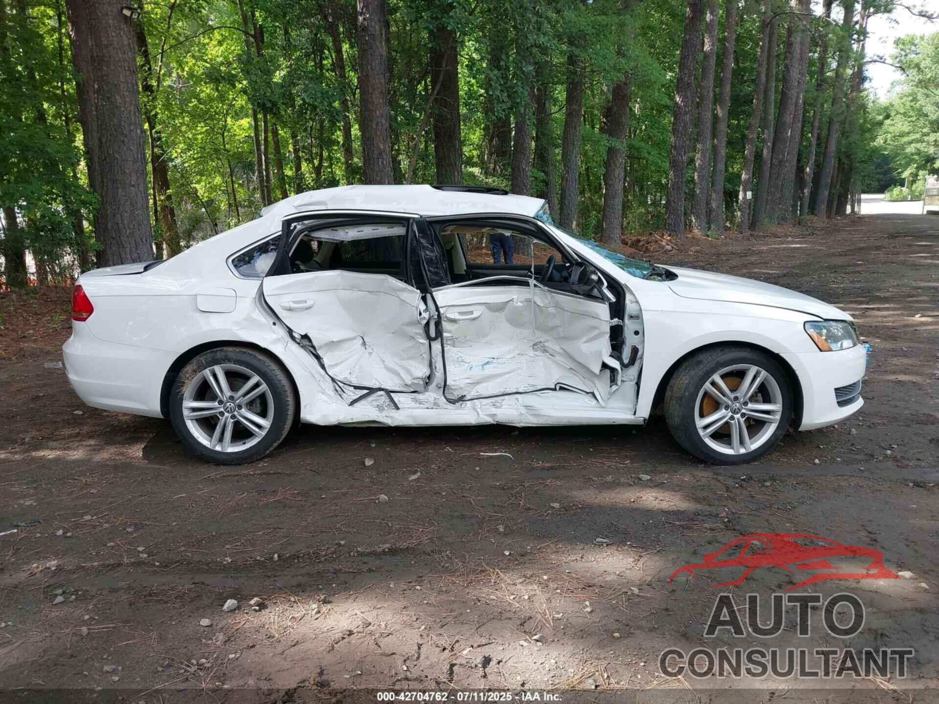VOLKSWAGEN PASSAT 2014 - 1VWBN7A30EC112103