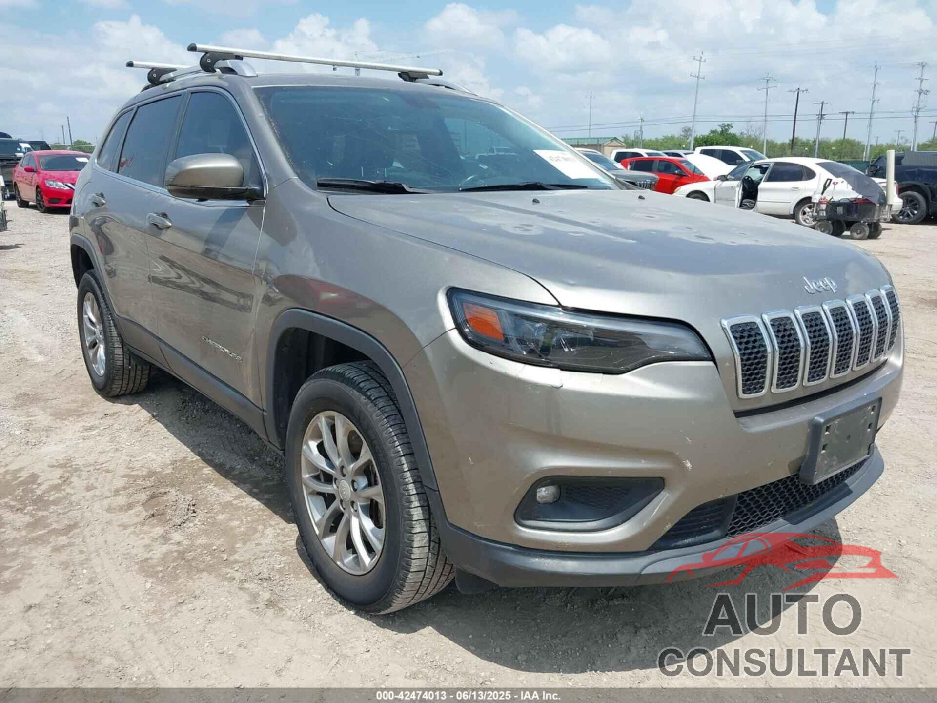JEEP CHEROKEE 2019 - 1C4PJMLX3KD105008