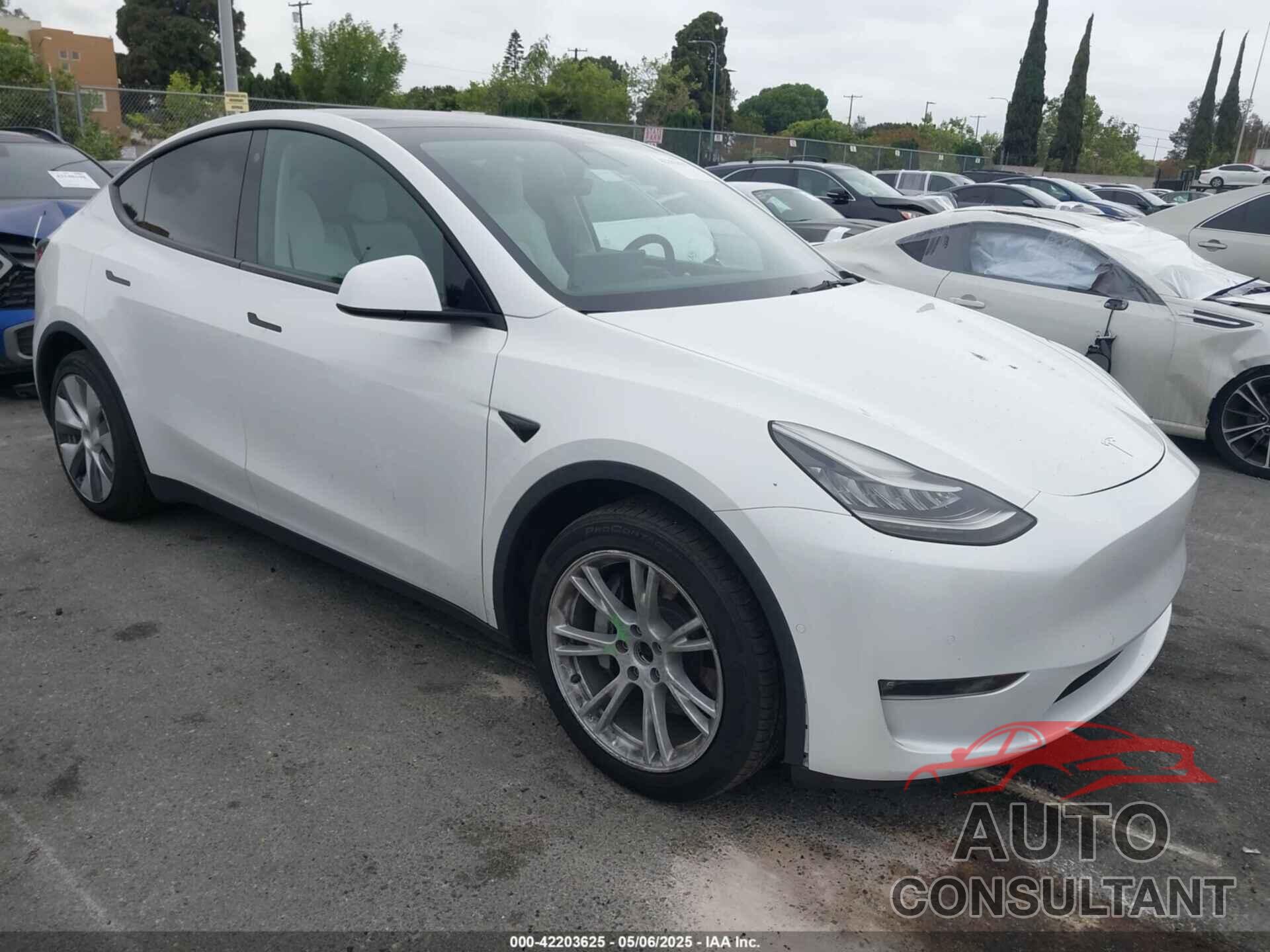TESLA MODEL Y 2021 - 5YJYGDEE1MF140334
