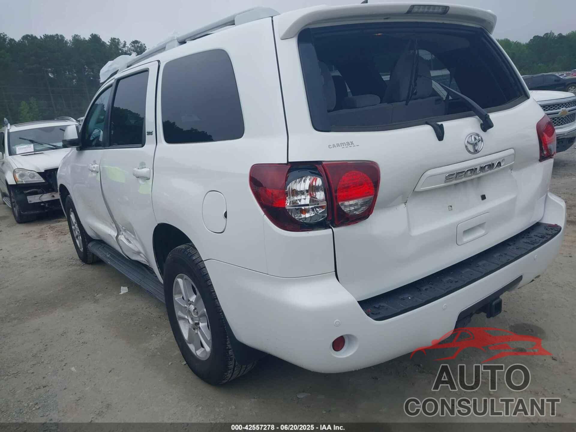 TOYOTA SEQUOIA 2019 - 5TDBY5G16KS170151