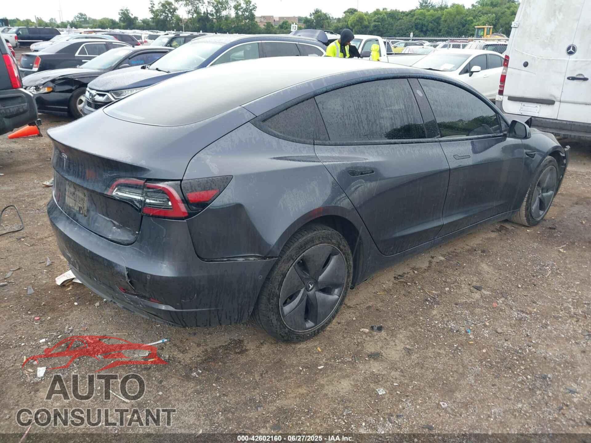 TESLA MODEL 3 2021 - 5YJ3E1EA3MF081976