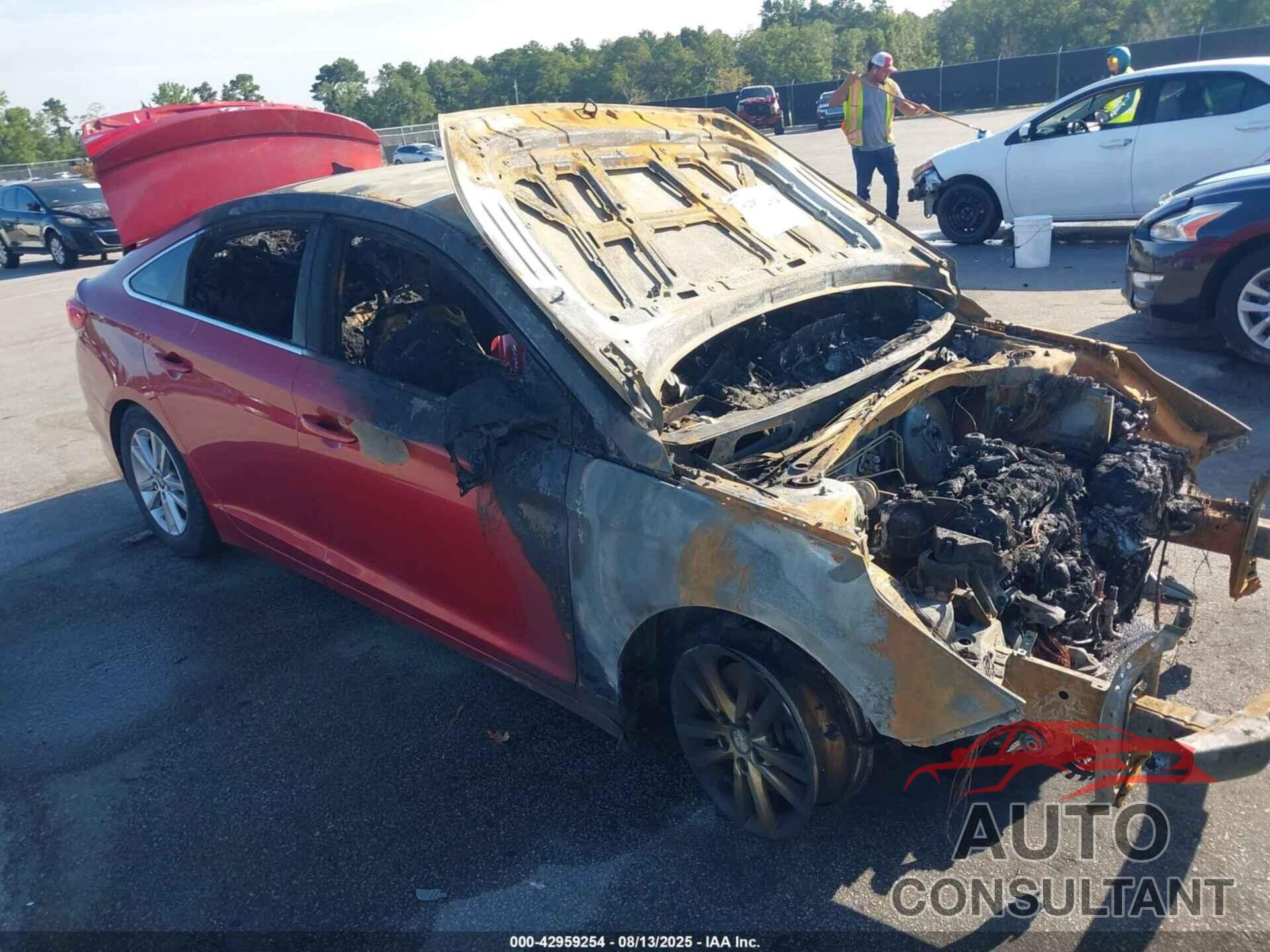 HYUNDAI SONATA 2017 - 5NPE24AF5HH562212