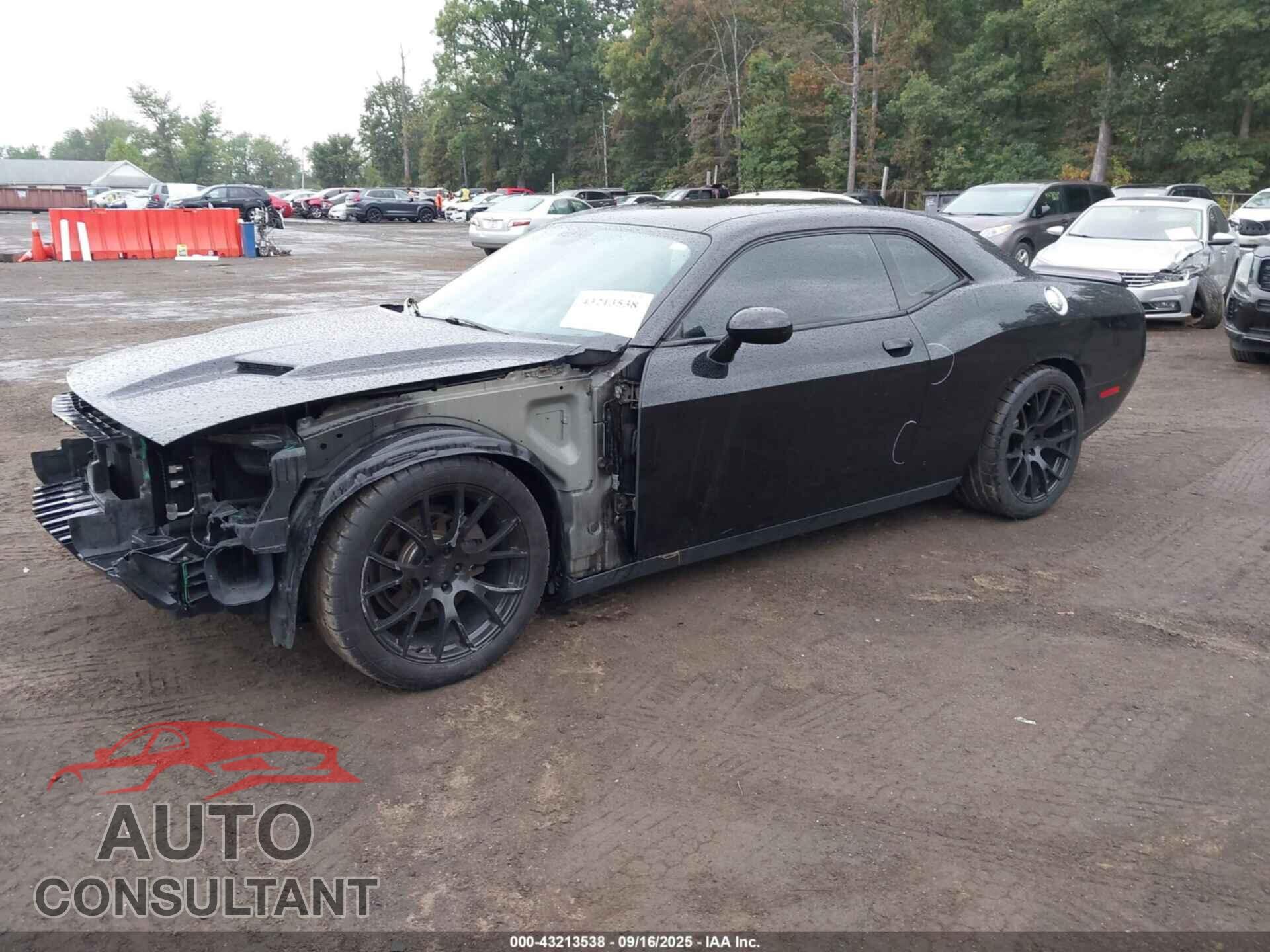 DODGE CHALLENGER 2017 - 2C3CDZAG4HH639737