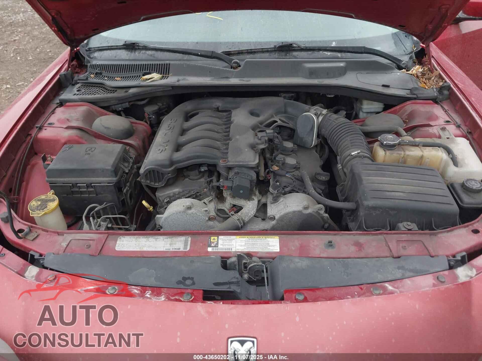 DODGE CHARGER 2010 - 2B3CA3CV2AH280683