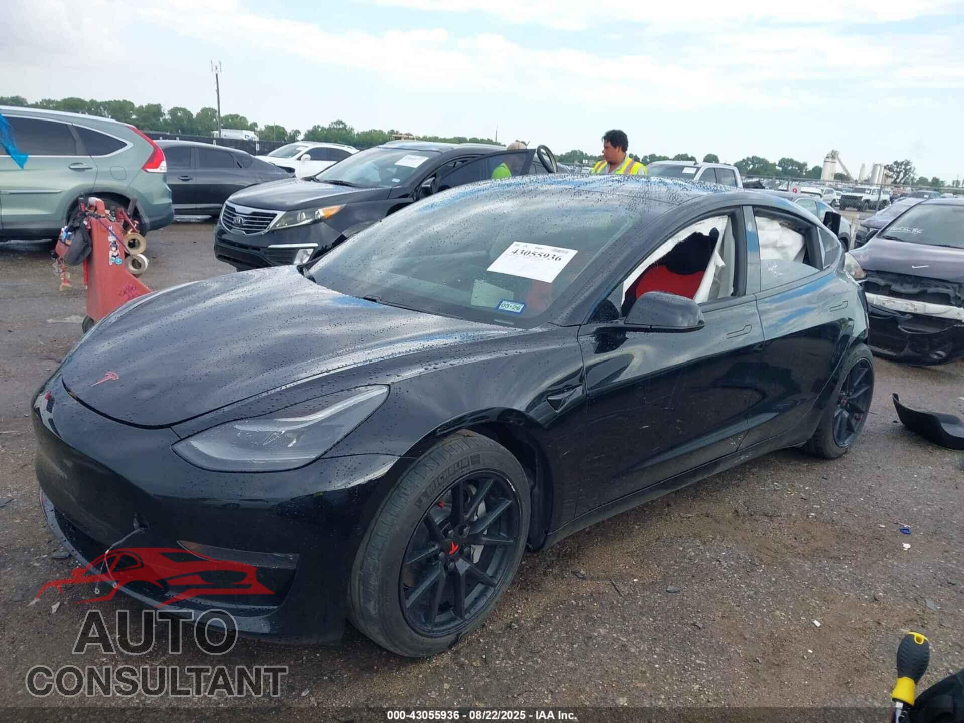 TESLA MODEL 3 2021 - 5YJ3E1EA2MF922959