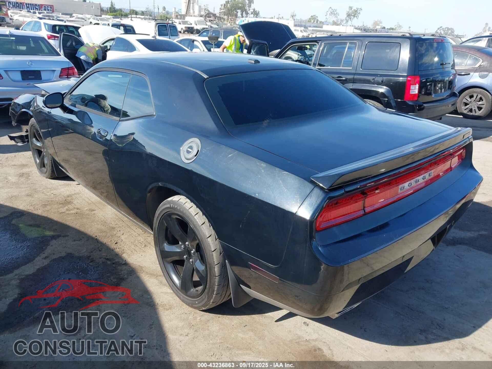 DODGE CHALLENGER 2014 - 2C3CDYAG7EH293883