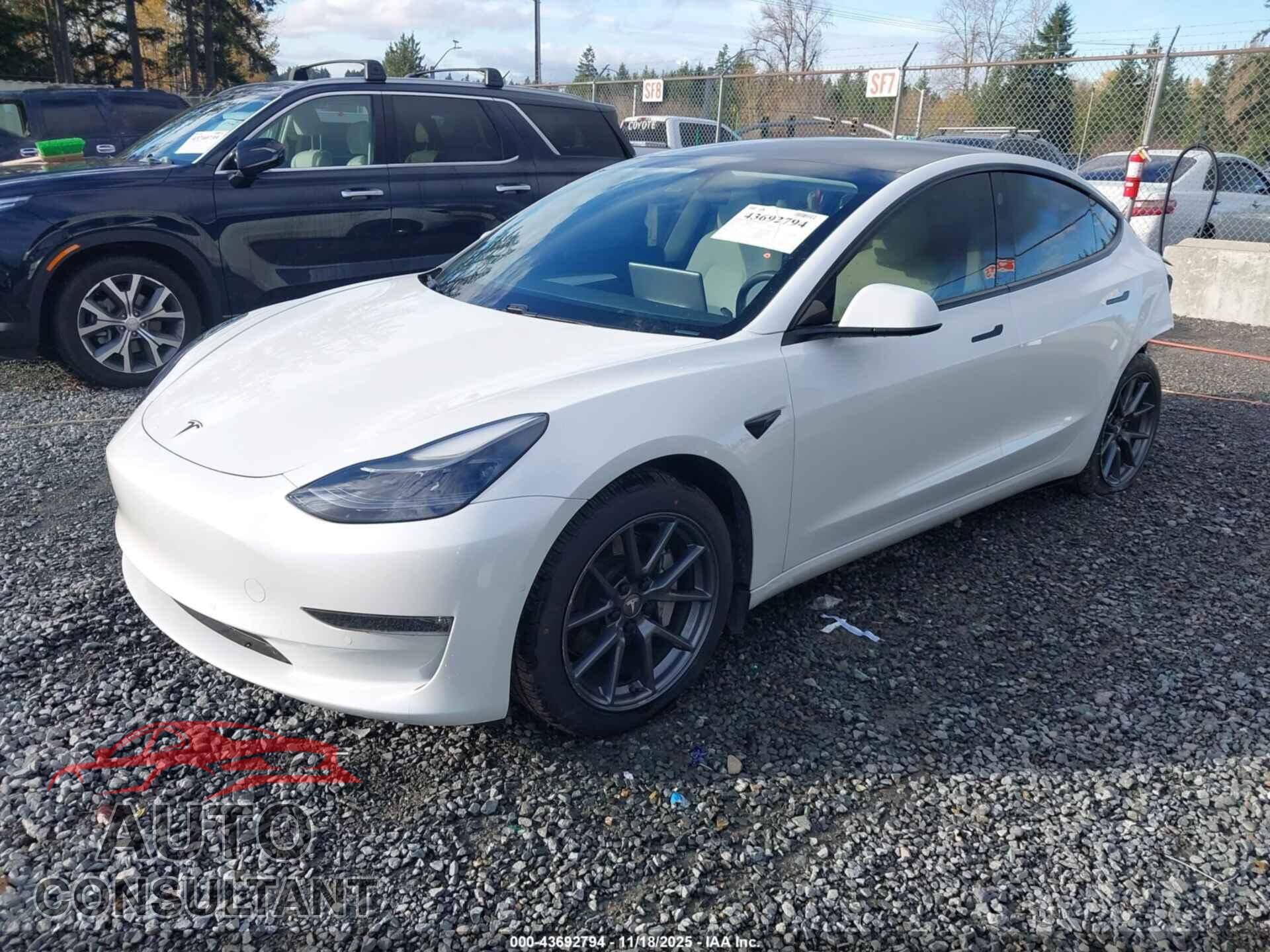TESLA MODEL 3 2021 - 5YJ3E1EB8MF037979