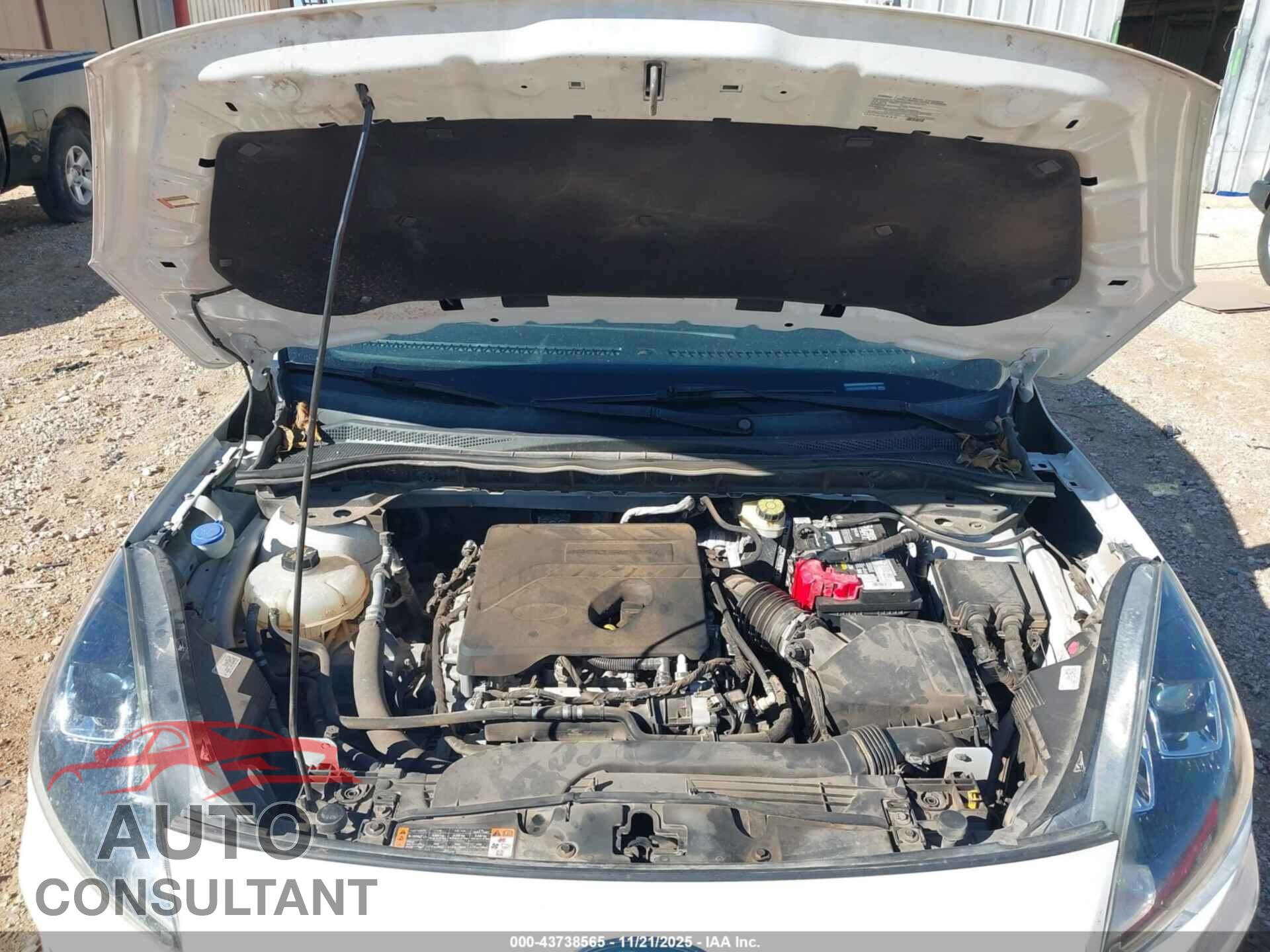 FORD ESCAPE 2020 - 1FMCU0G64LUA31966