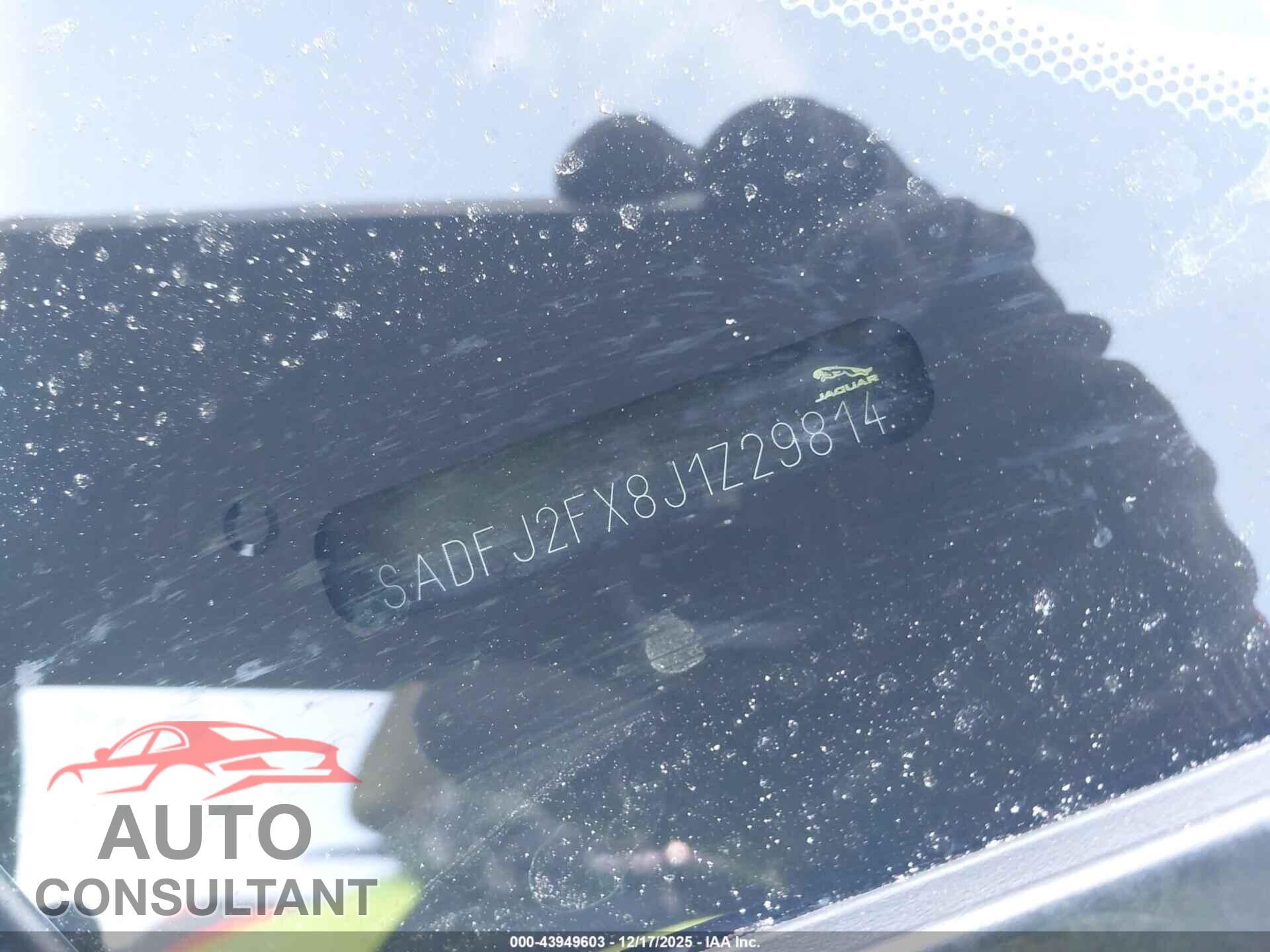 JAGUAR E-PACE 2018 - SADFJ2FX8J1Z29814