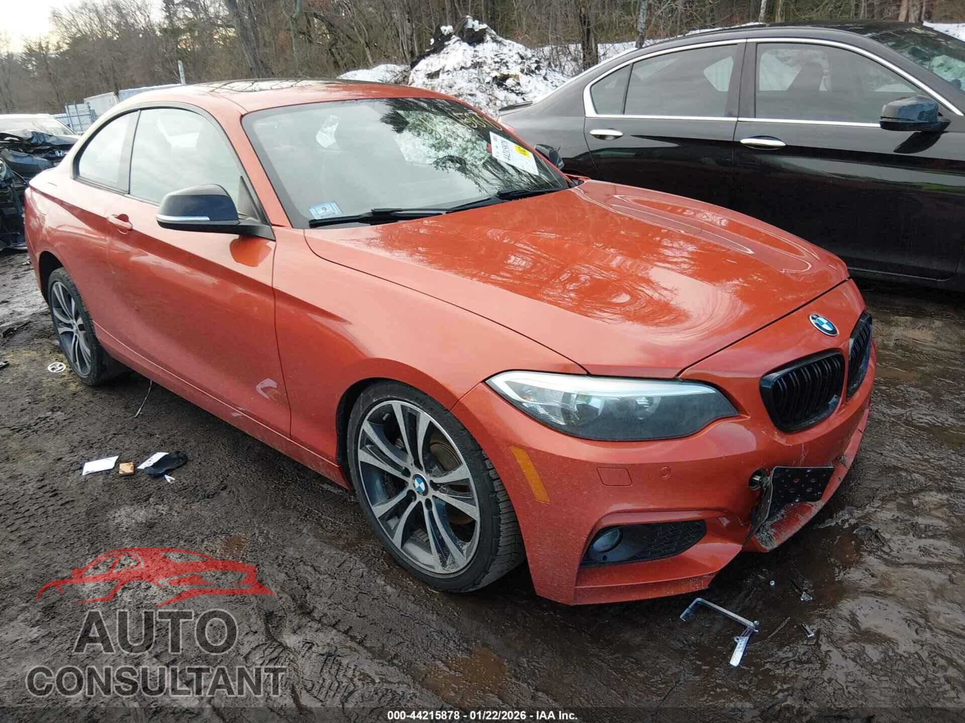 BMW 228I 2015 - WBA1F7C5XFVX95716