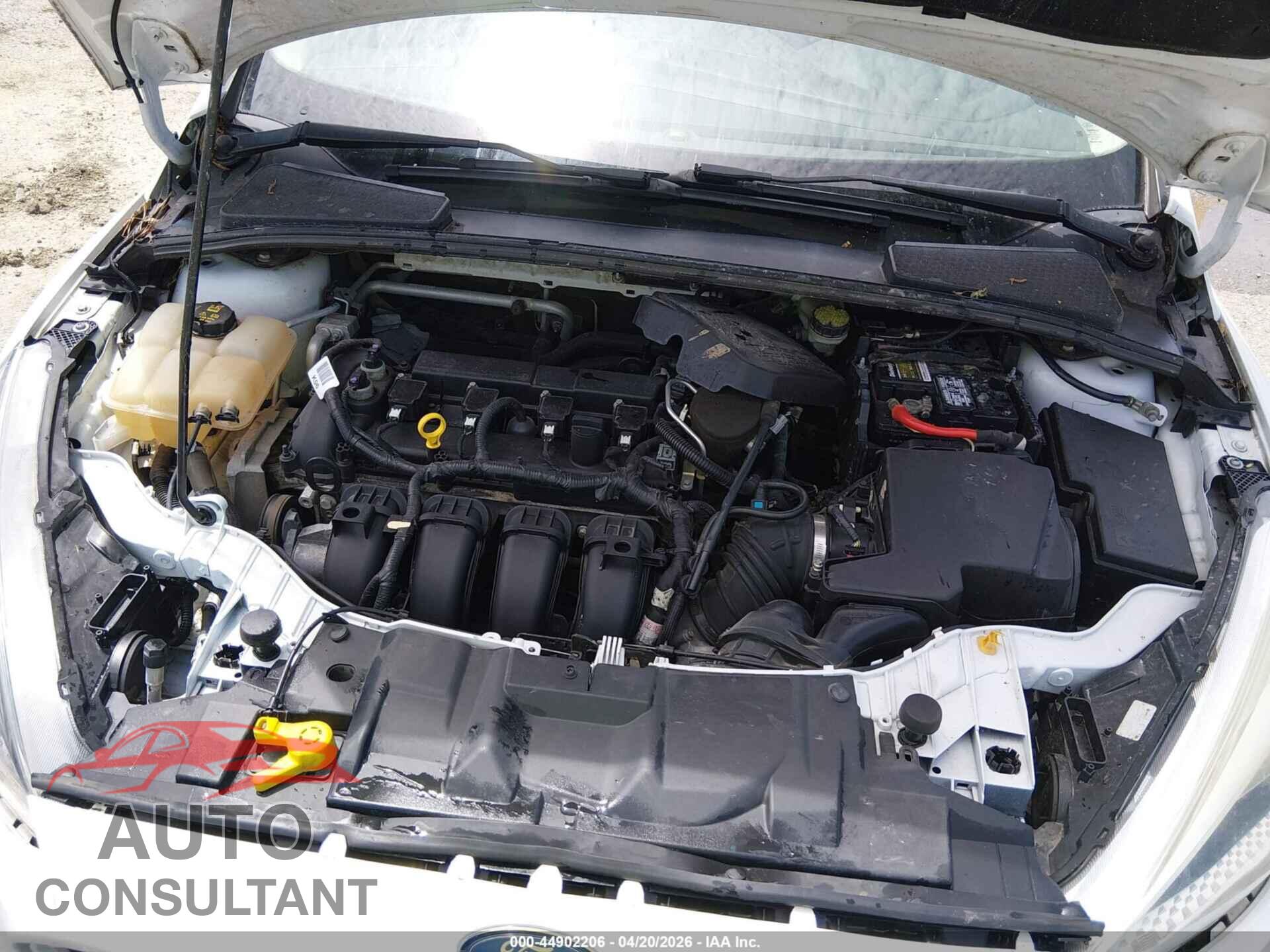 FORD FOCUS 2016 - 1FADP3F22GL261359