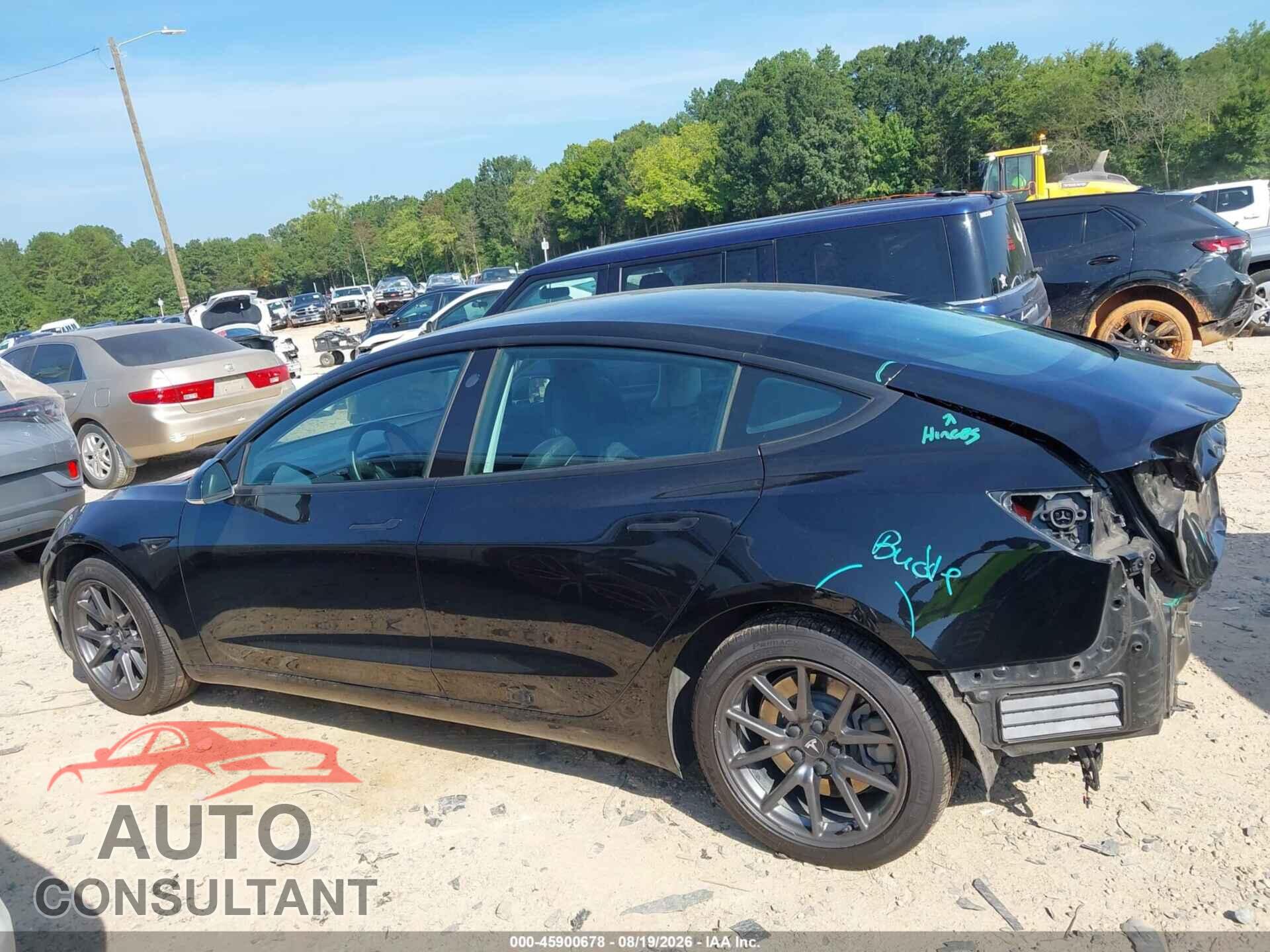TESLA MODEL 3 2019 - 5YJ3E1EA1KF484299