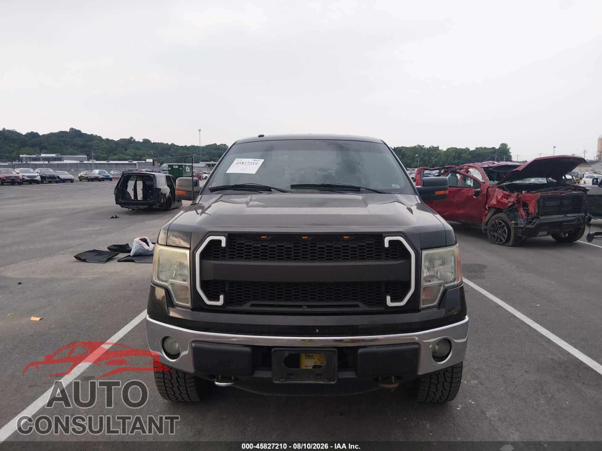 FORD F-150 2013 - 1FTFW1EF4DFD05225