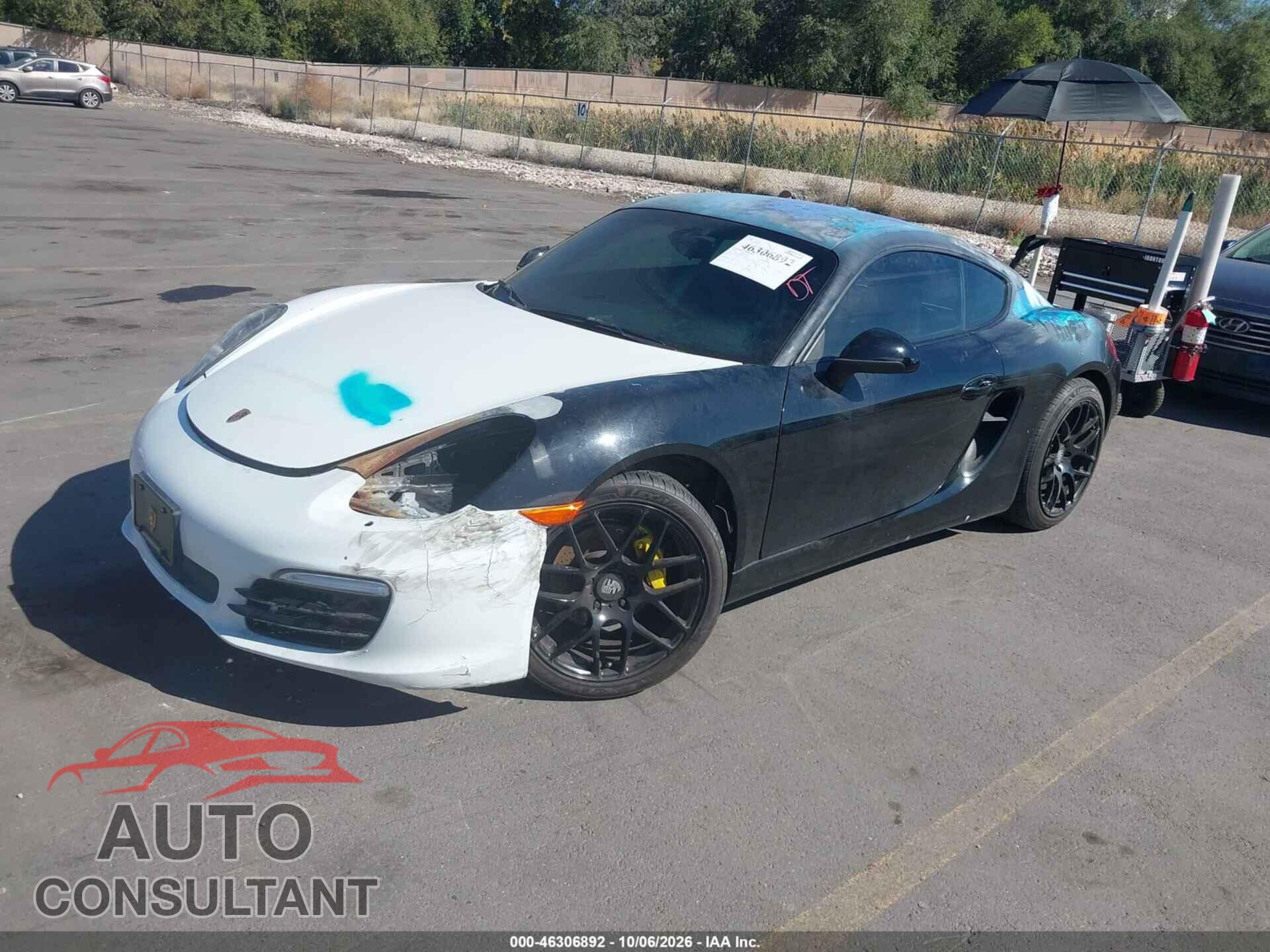 PORSCHE CAYMAN 2014 - WP0AA2A87EK173477