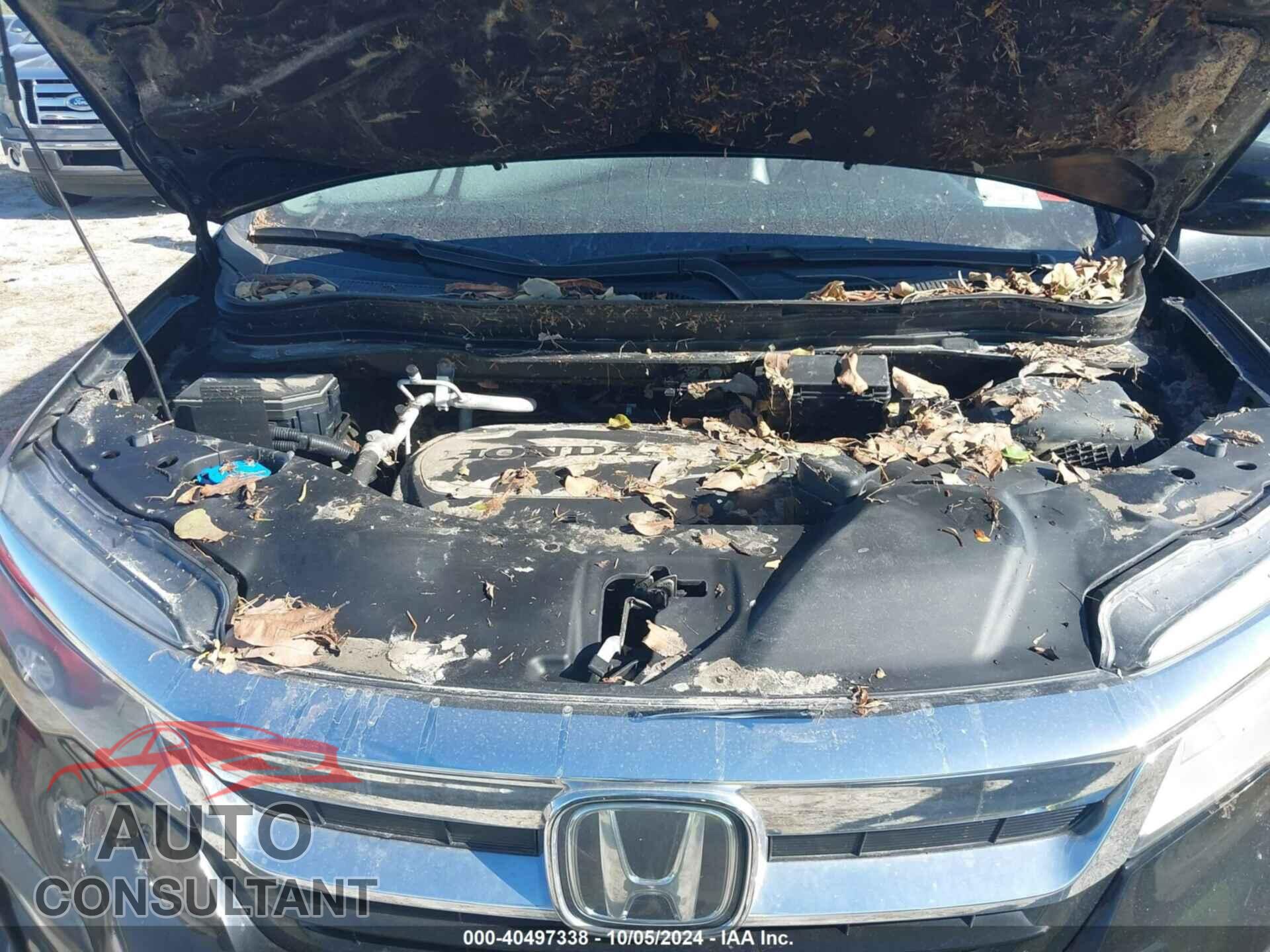 HONDA PILOT 2019 - 5FNYF6H9XKB013169
