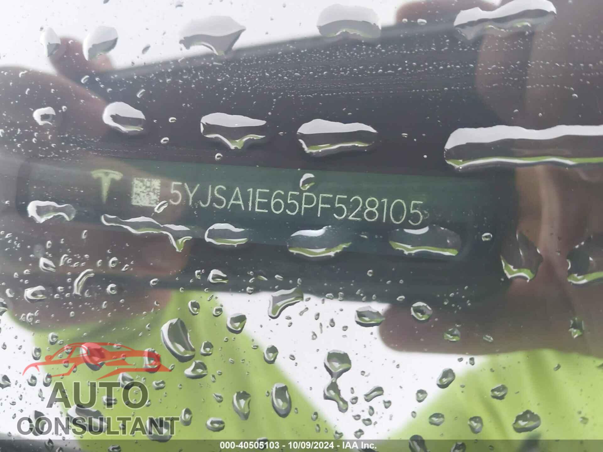 TESLA MODEL S 2023 - 5YJSA1E65PF528105