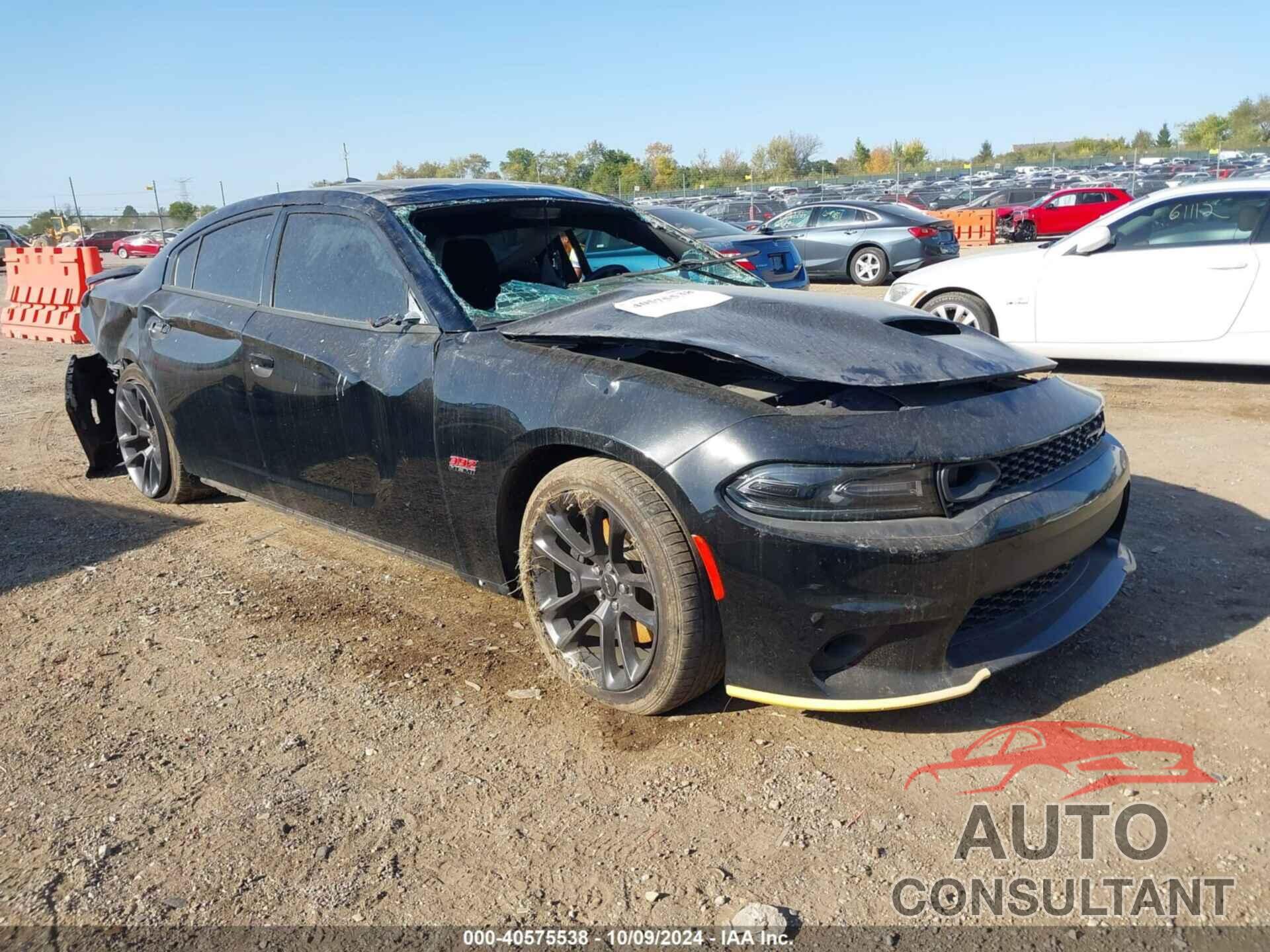 DODGE CHARGER 2021 - 2C3CDXGJ7MH540010
