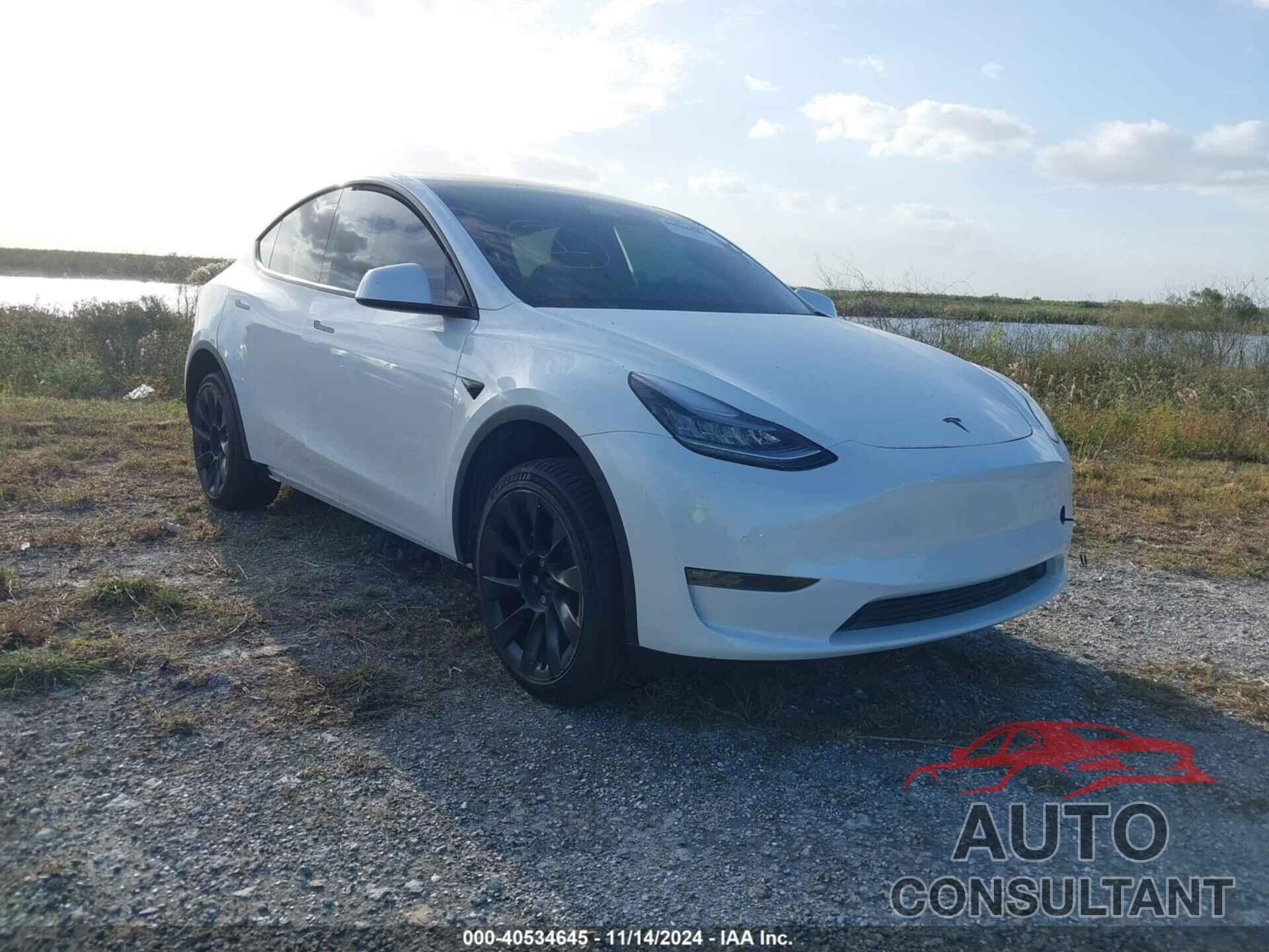 TESLA MODEL Y 2020 - 5YJYGDEE3LF049208