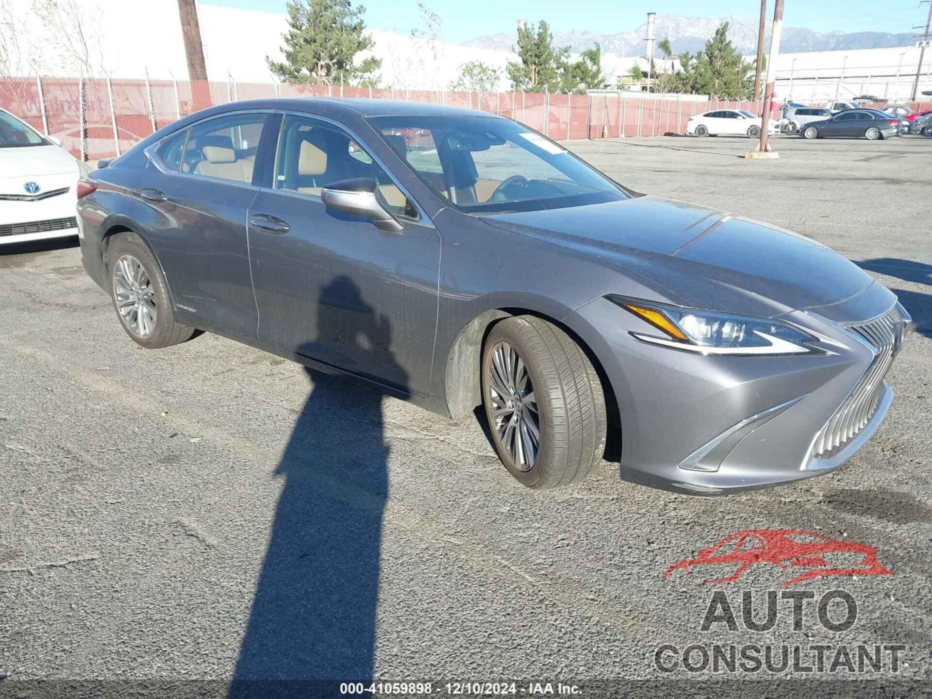 LEXUS ES 300H 2020 - 58AD21B10LU010844