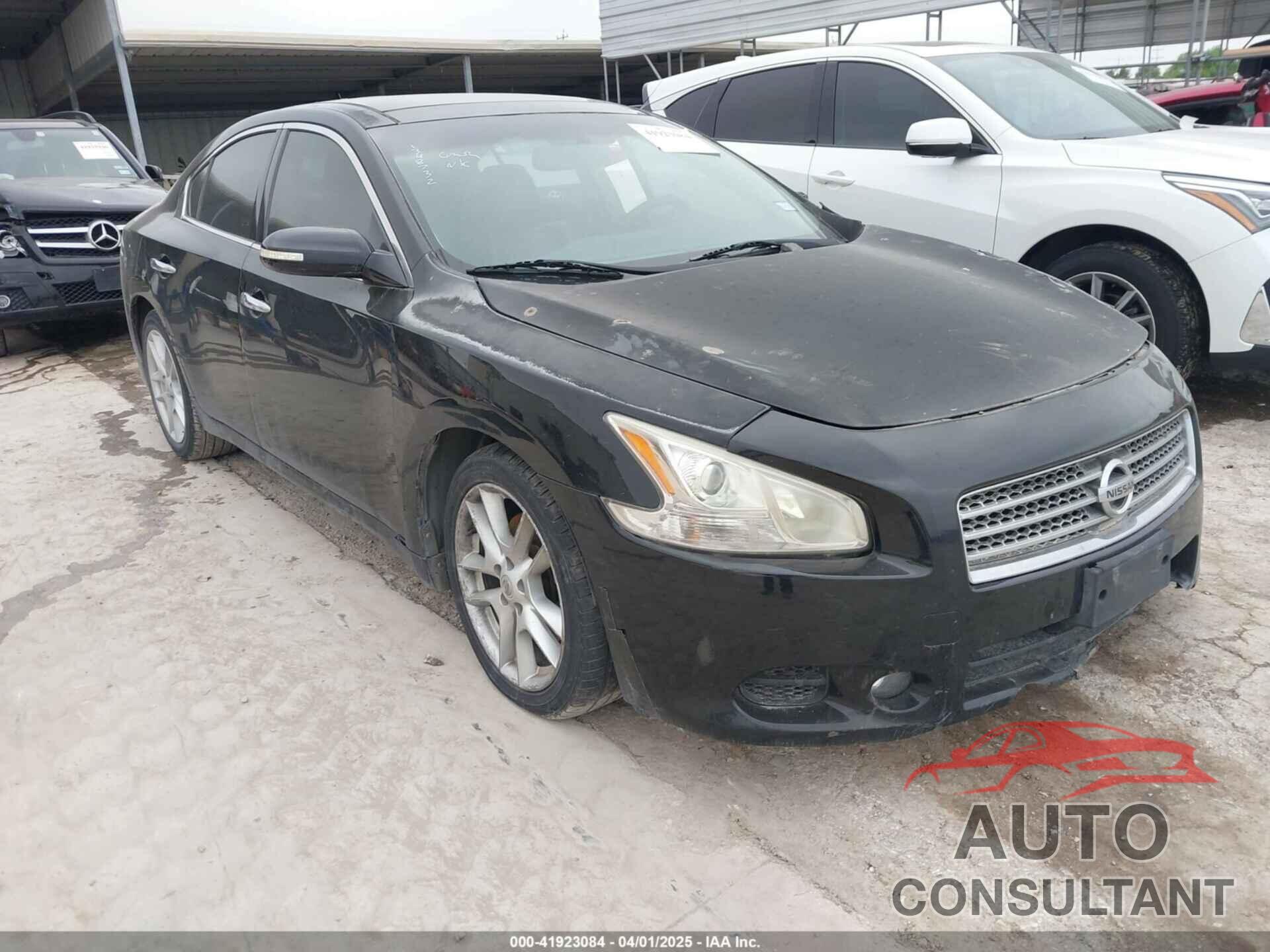 NISSAN MAXIMA 2009 - 1N4AA51E89C831062