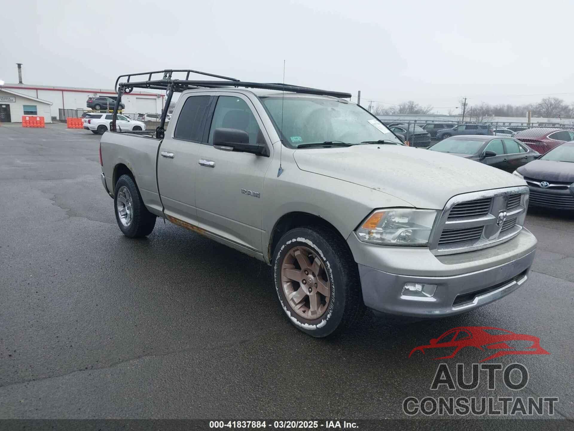 DODGE RAM 1500 2010 - 1D7RV1GP3AS197145