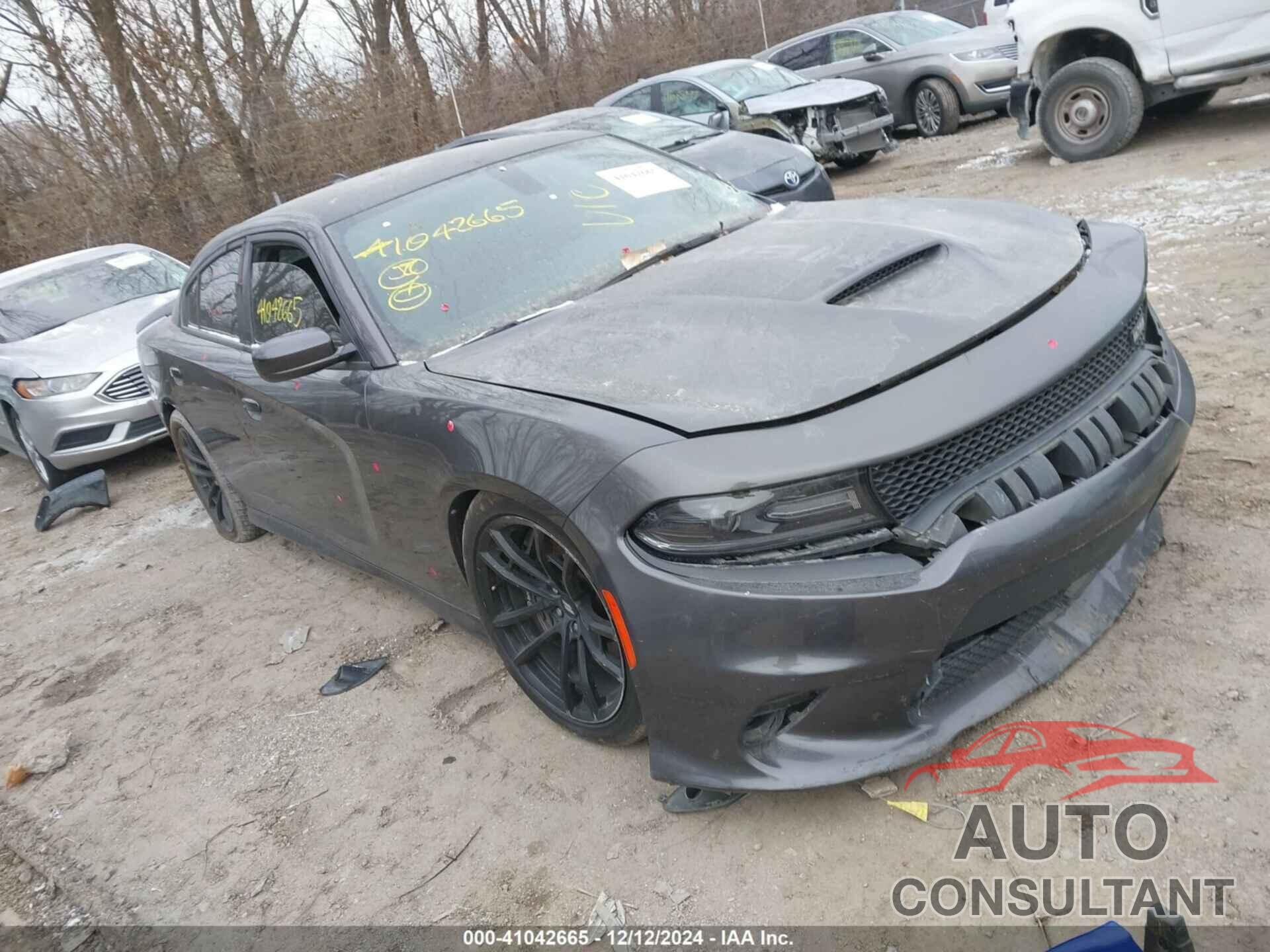 DODGE CHARGER 2017 - 2C3CDXGJ9HH596116