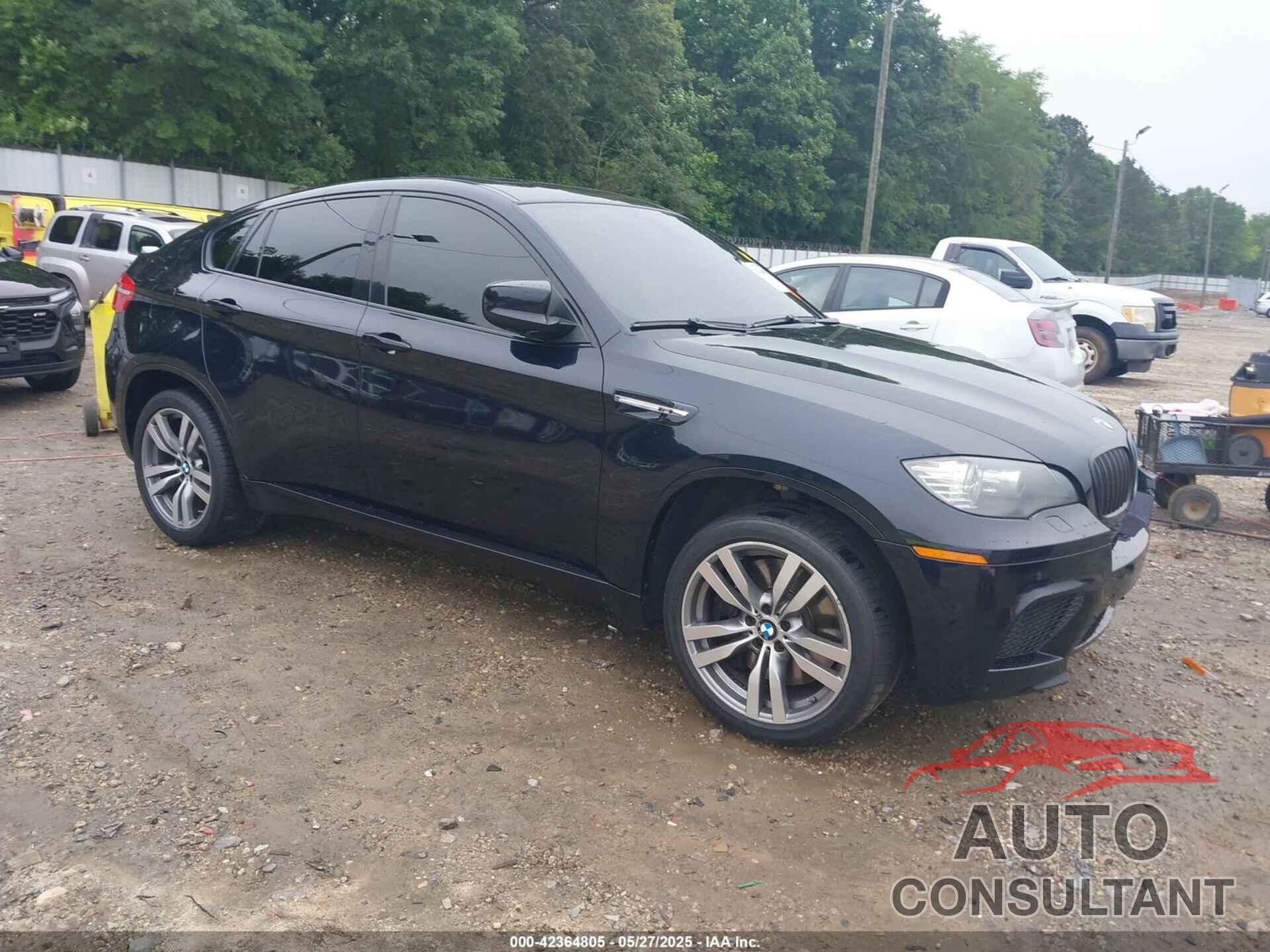 BMW X6 M 2010 - 5YMGZ0C52ALK13163
