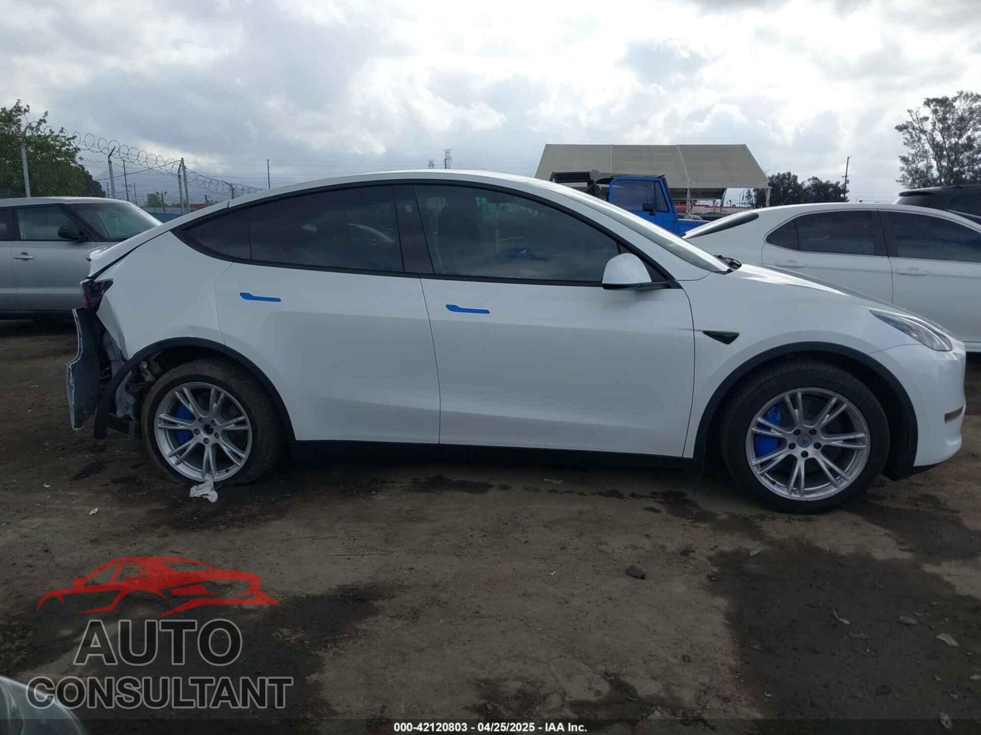TESLA MODEL Y 2024 - 7SAYGDEE5RF036018
