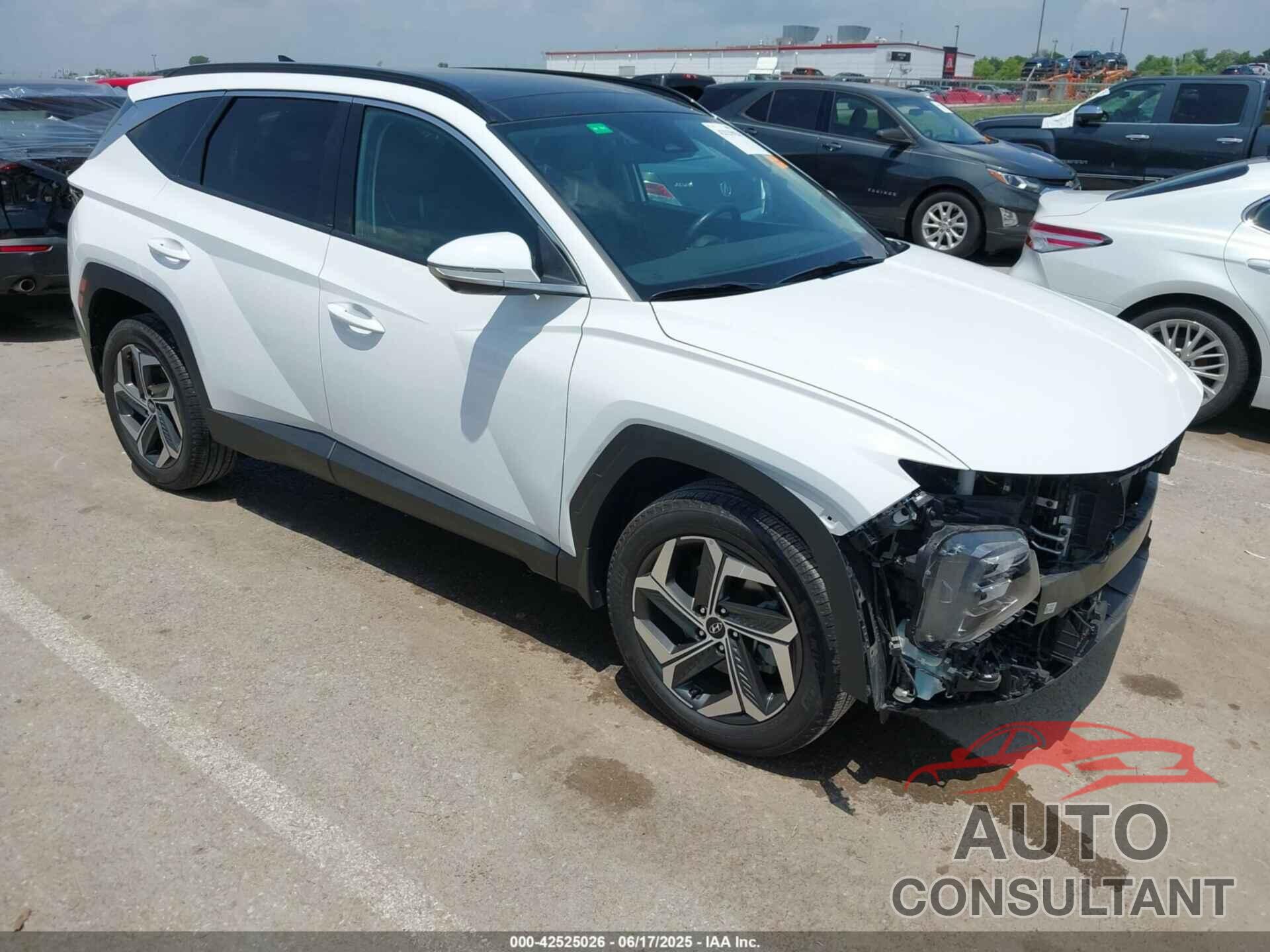 HYUNDAI TUCSON 2023 - 5NMJECAE2PH262050