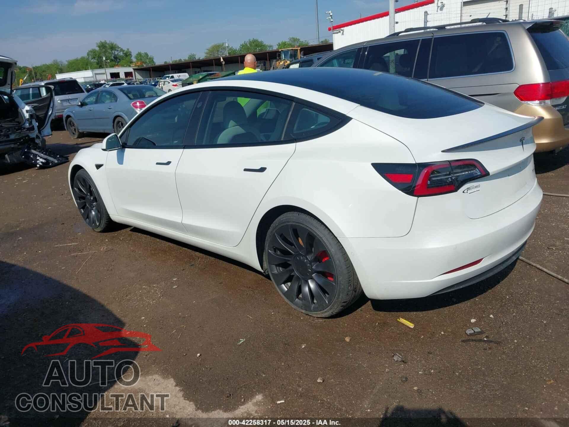 TESLA MODEL 3 2021 - 5YJ3E1EC7MF919282