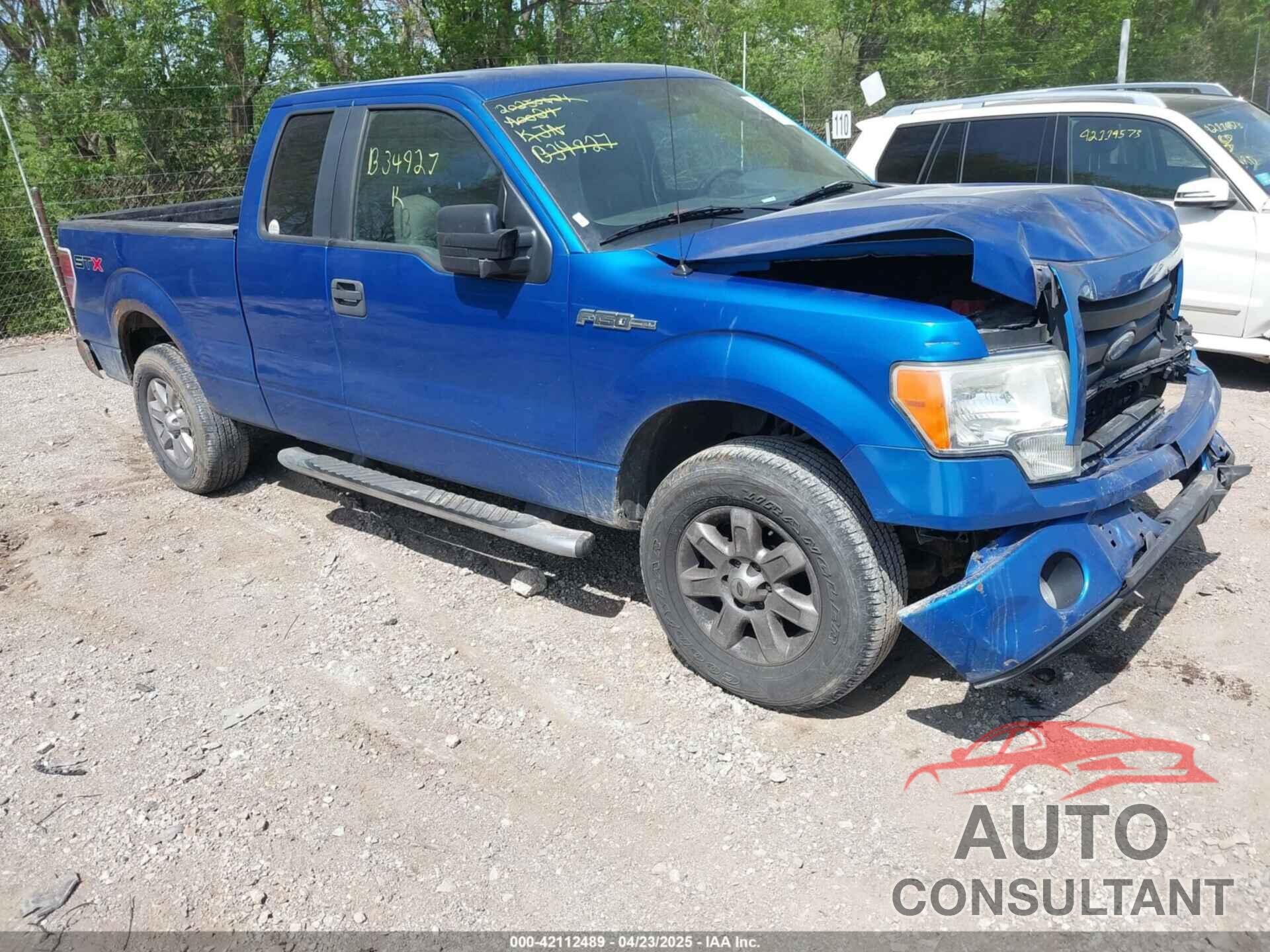 FORD F-150 2009 - 1FTRX12839FB34927