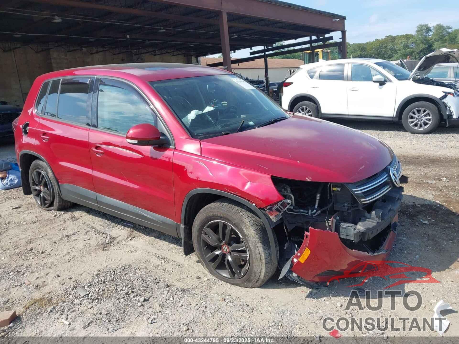 VOLKSWAGEN TIGUAN 2013 - WVGAV3AX1DW089630