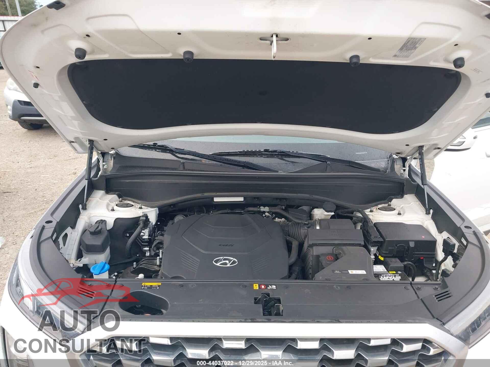 HYUNDAI PALISADE 2020 - KM8R24HEXLU158251