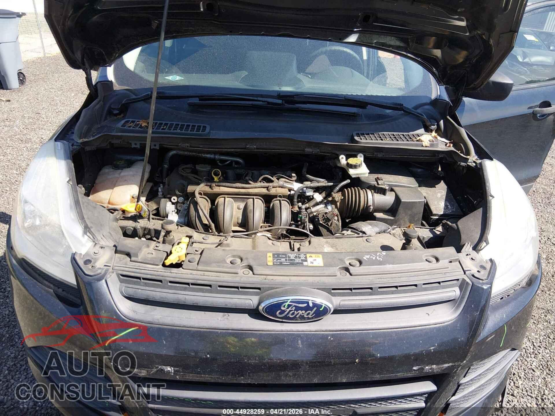 FORD ESCAPE 2014 - 1FMCU0F71EUC03738