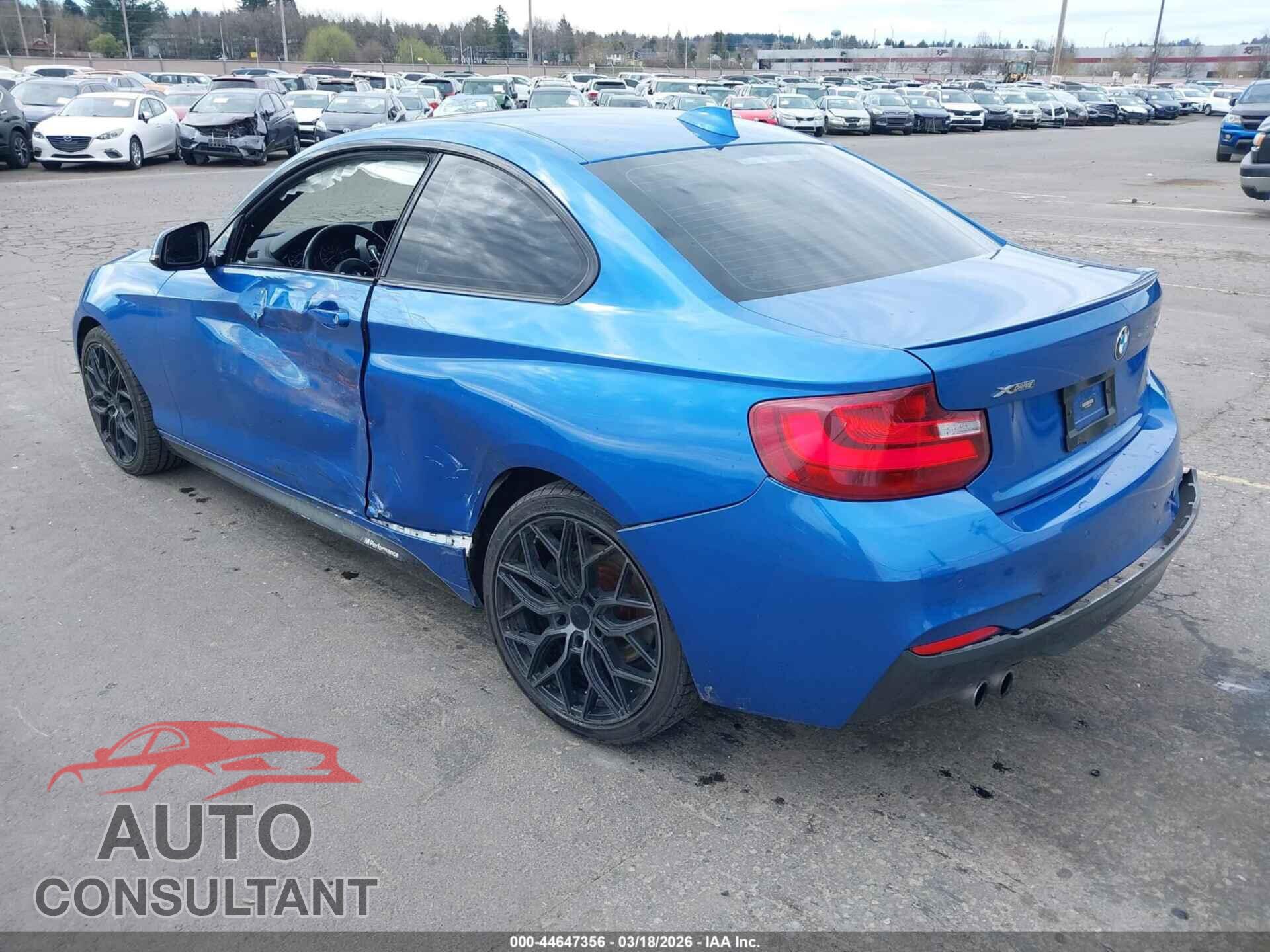 BMW 228I 2016 - WBA1G9C52GV599750
