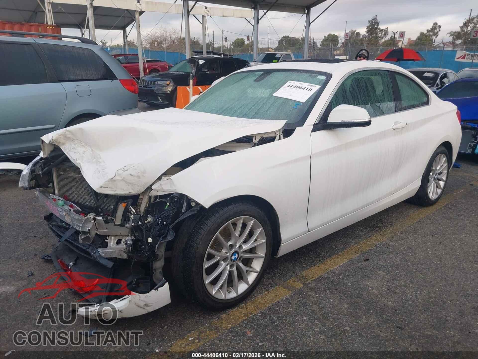 BMW 228I 2014 - WBA1F5C58EV255574