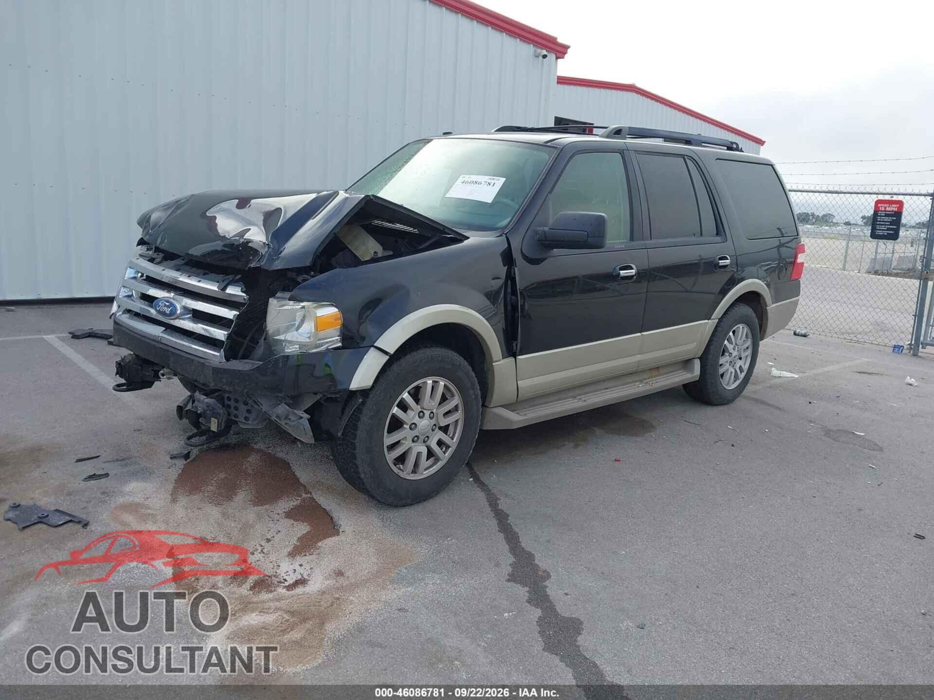 FORD EXPEDITION 2009 - 1FMFU18579EA84611