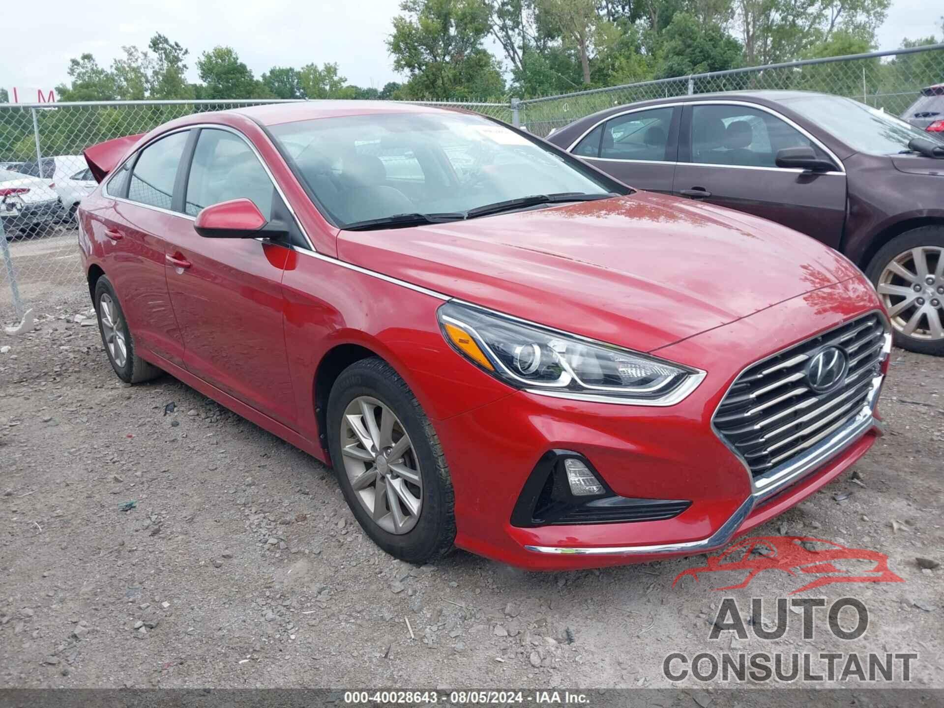 HYUNDAI SONATA 2019 - 5NPE24AF8KH793483