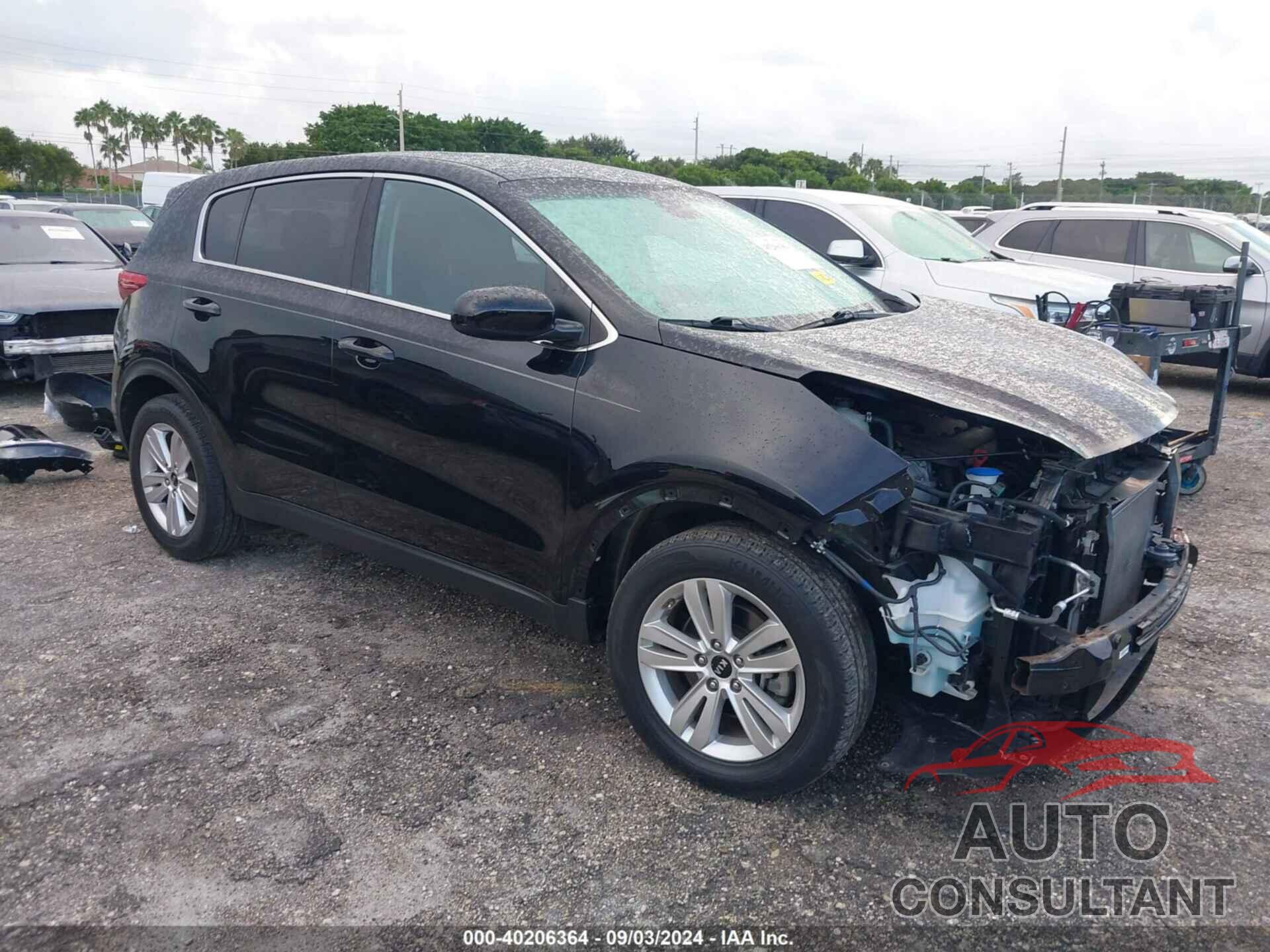 KIA SPORTAGE 2019 - KNDPM3AC7K7513883