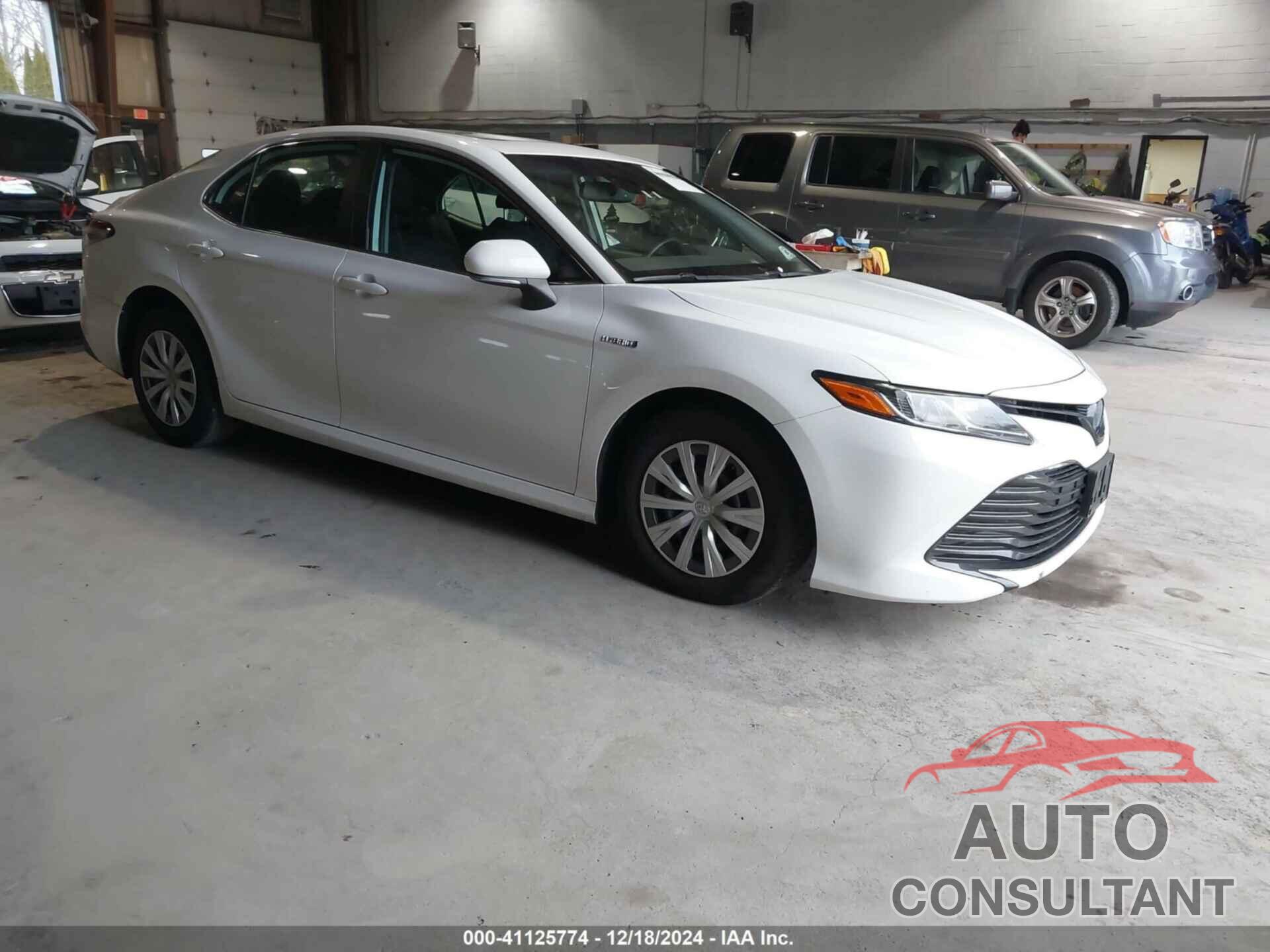 TOYOTA CAMRY HYBRID 2019 - 4T1B31HK3KU515514