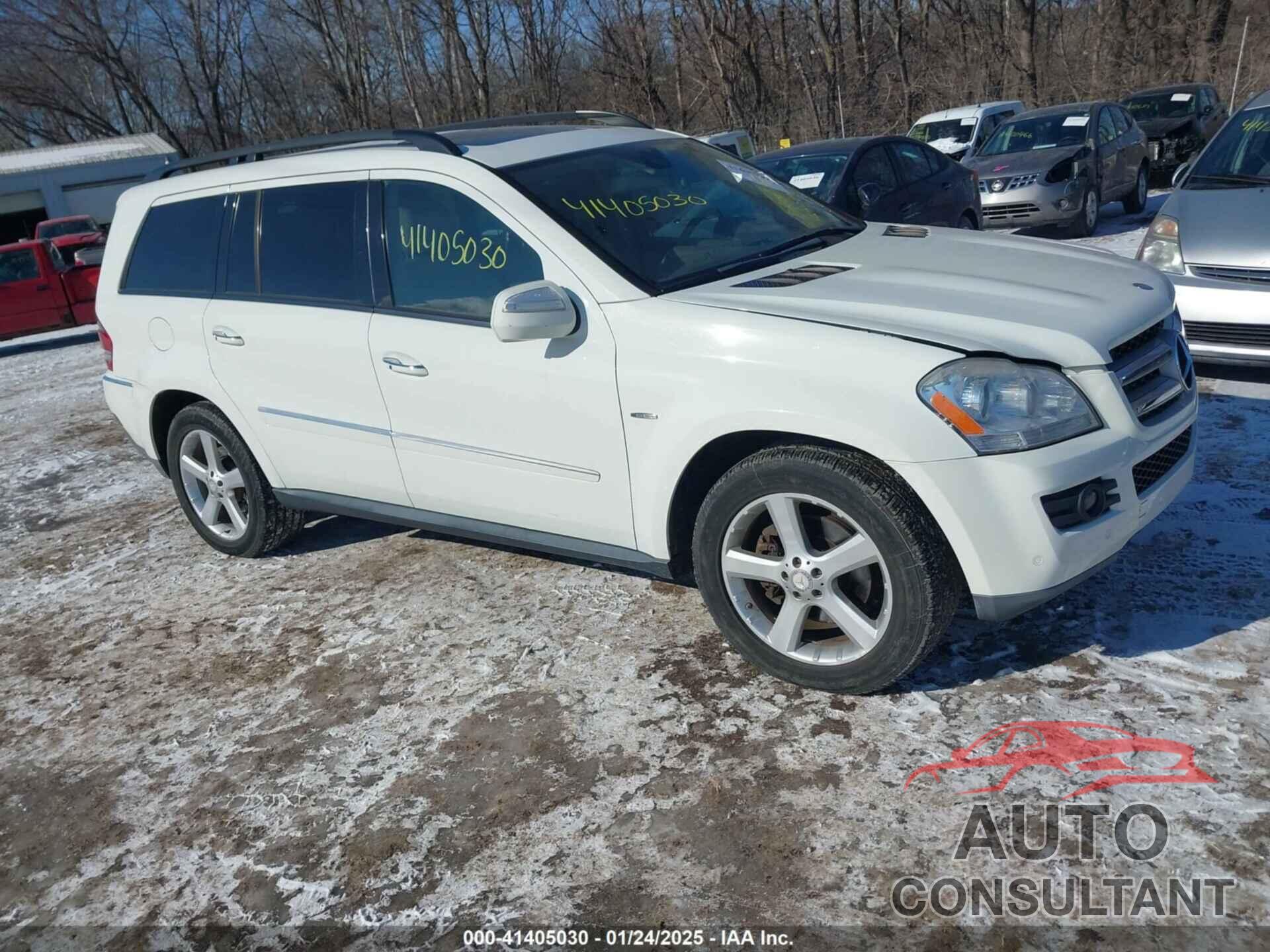 MERCEDES-BENZ GL 320 BLUETEC 2009 - 4JGBF25E79A488177